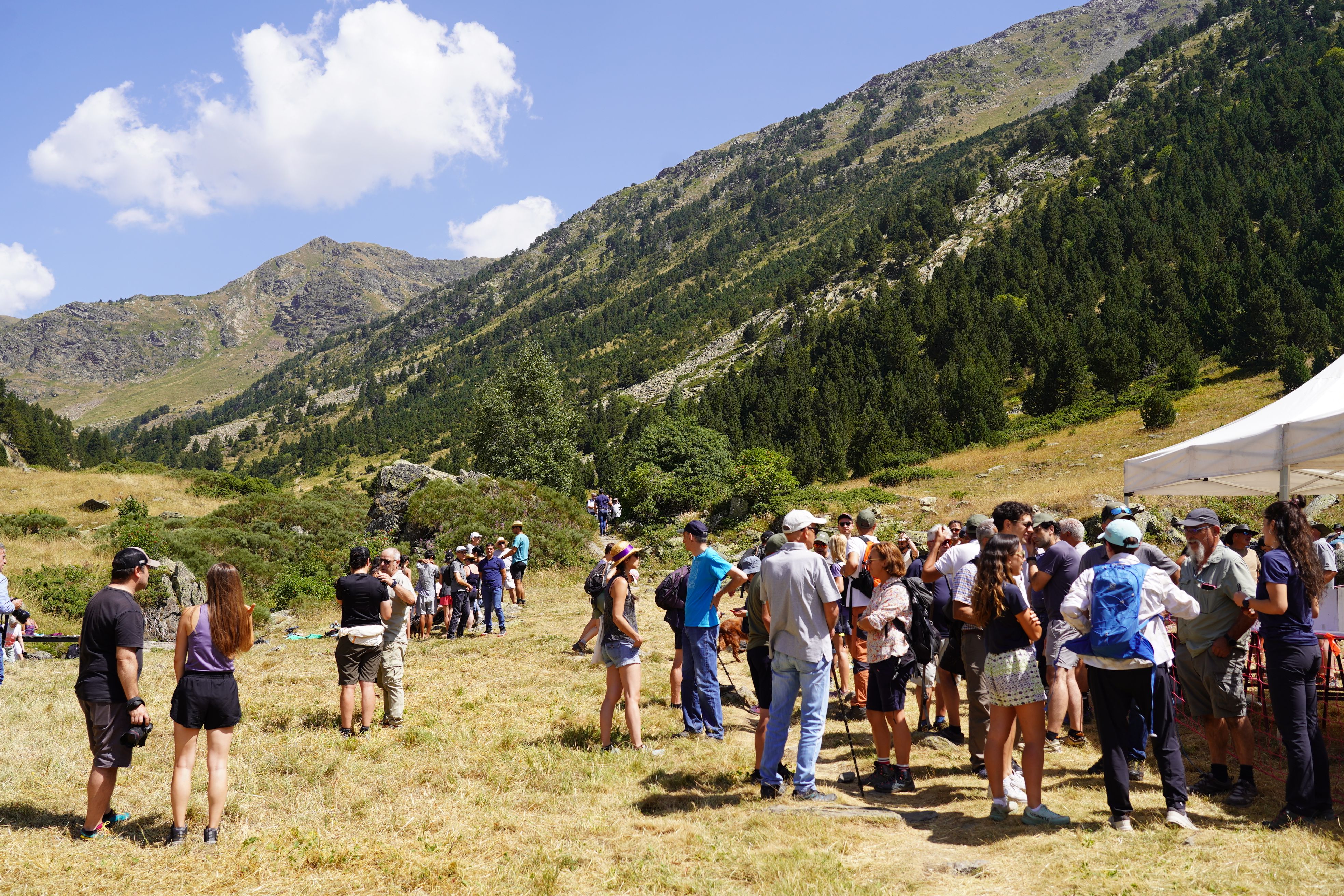 Assistents a la benedicció del bestiar a la vall de Rialb.