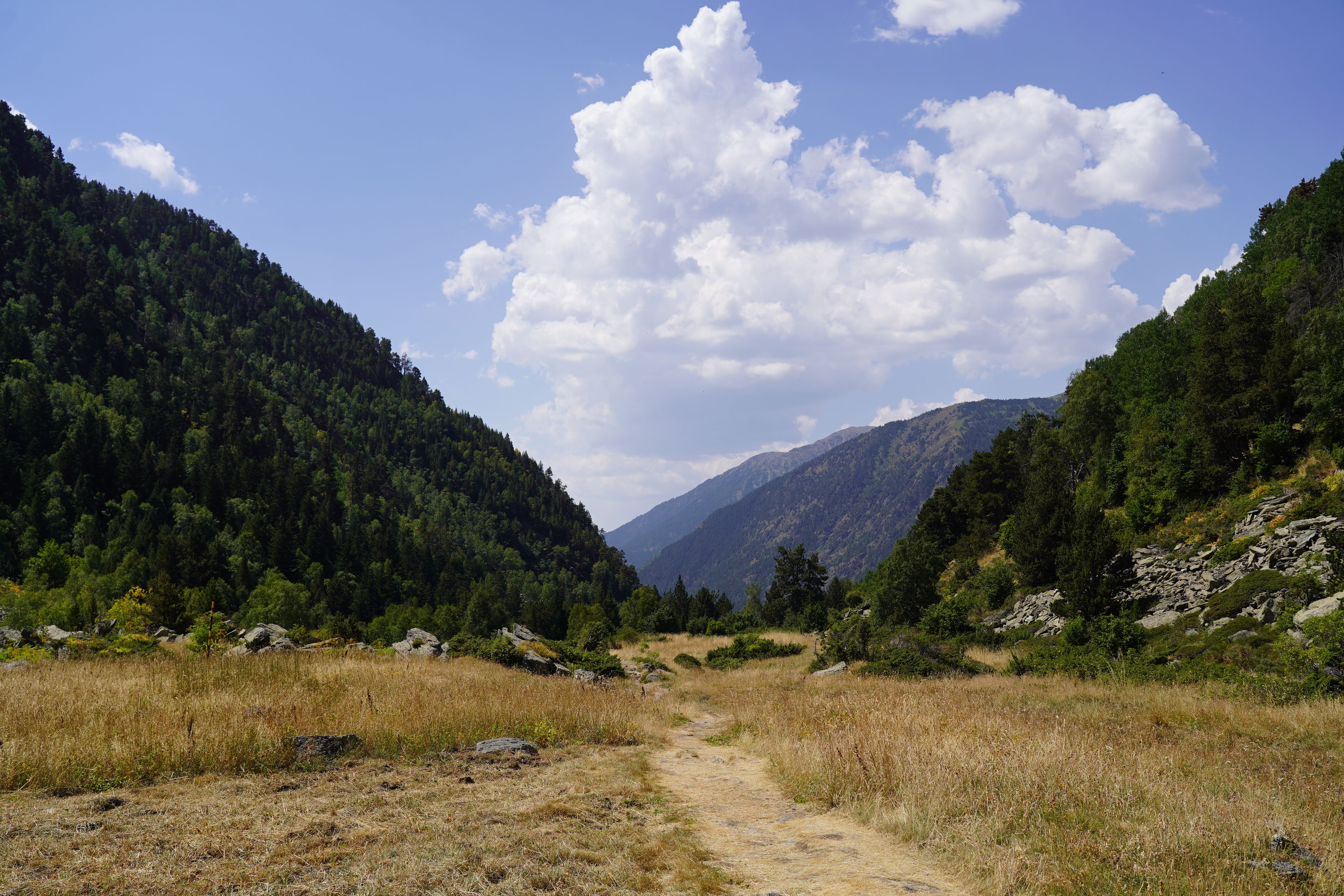 Vista –al sud– de l’entrada a la vall de Rialb.