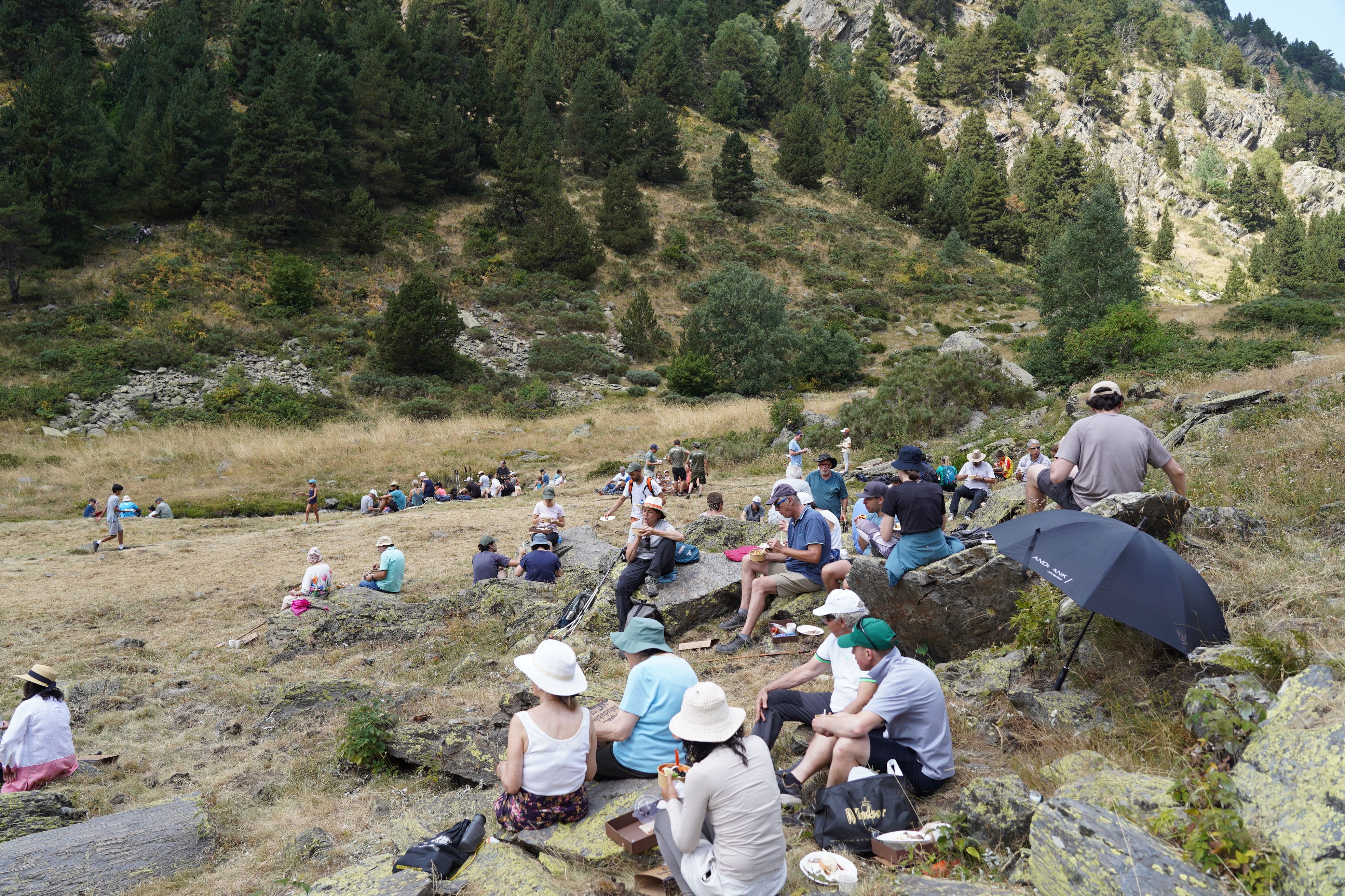 Grups dinant sota un sol inclement.
