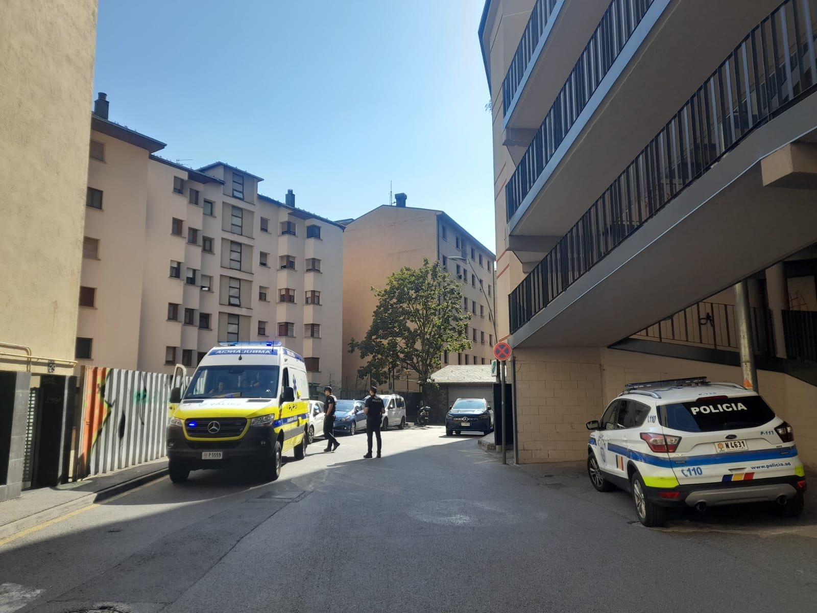 Ambulància del SUM i agents de la policia a la part final del carrer Fiter i Rossell de la capital.