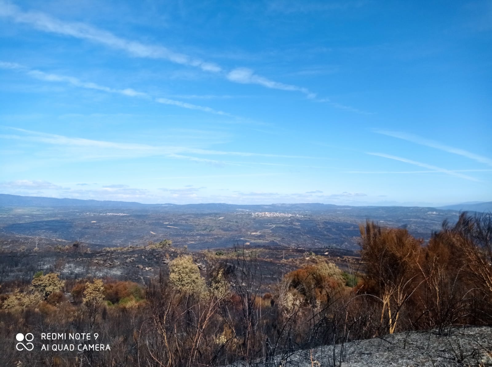 Els efectes del foc a la zona. Els efectes del foc a la zona.