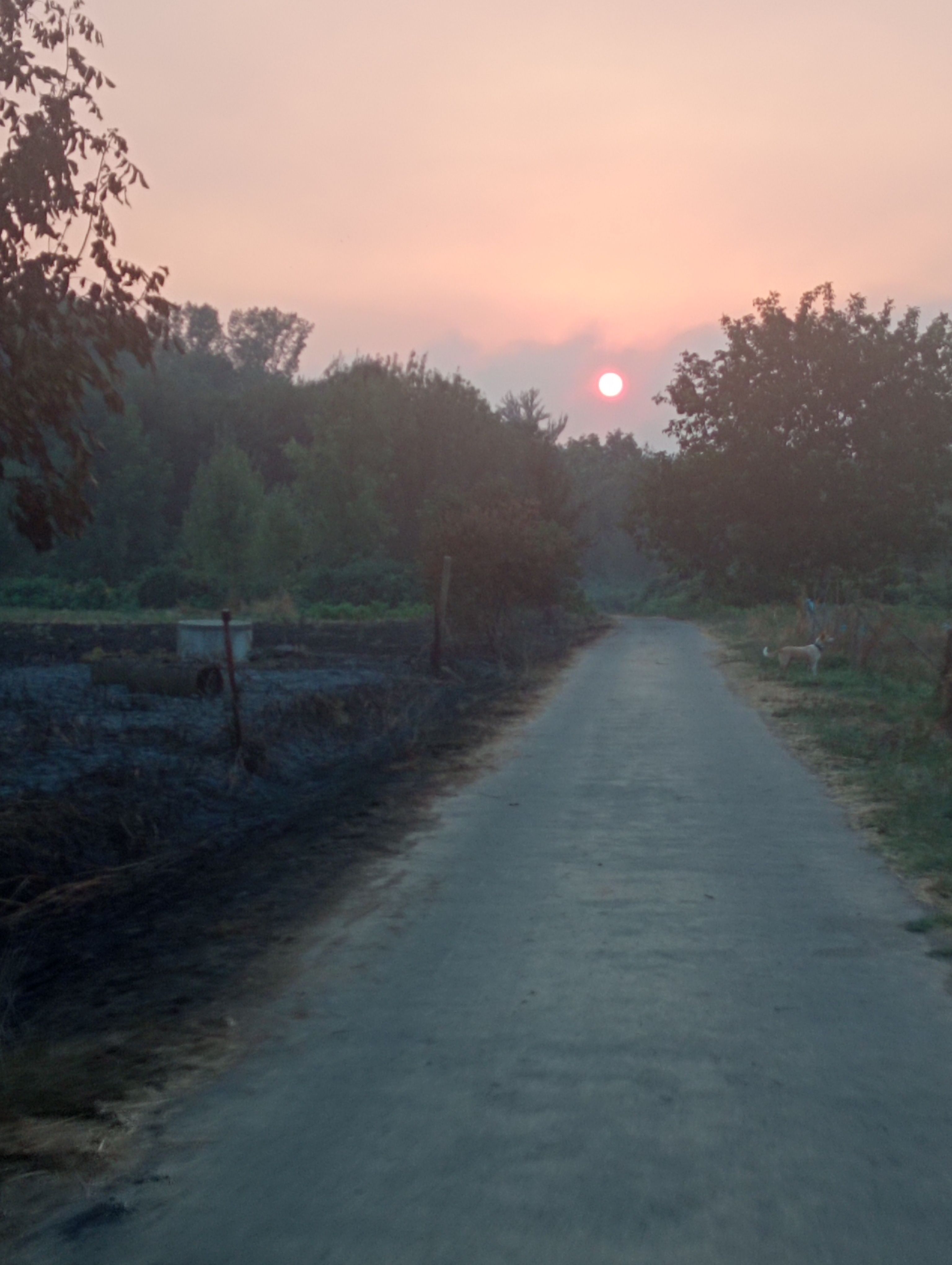 Zones per on ha passat el foc. Zones per on ha passat el foc.