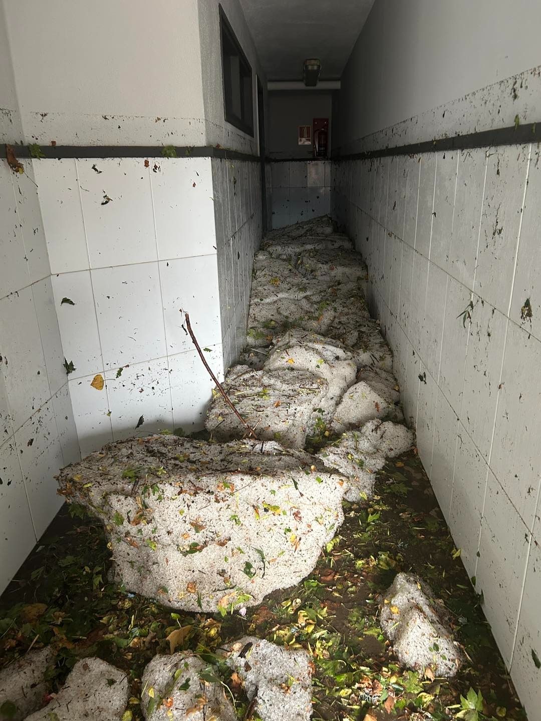 Els interiors de les dutxes de la piscina municipal, plens de gel. Els interiors de les dutxes de la piscina municipal, plens de gel.