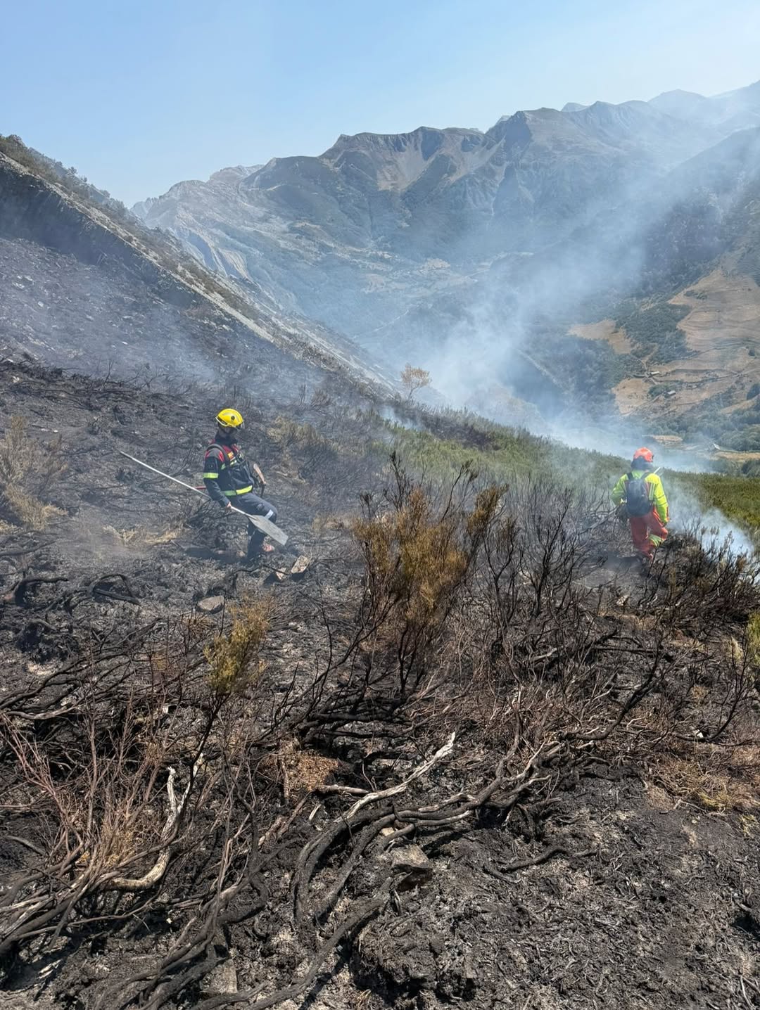 Els focs han estat violents i els bombers del país els han hagut de viure de prop.