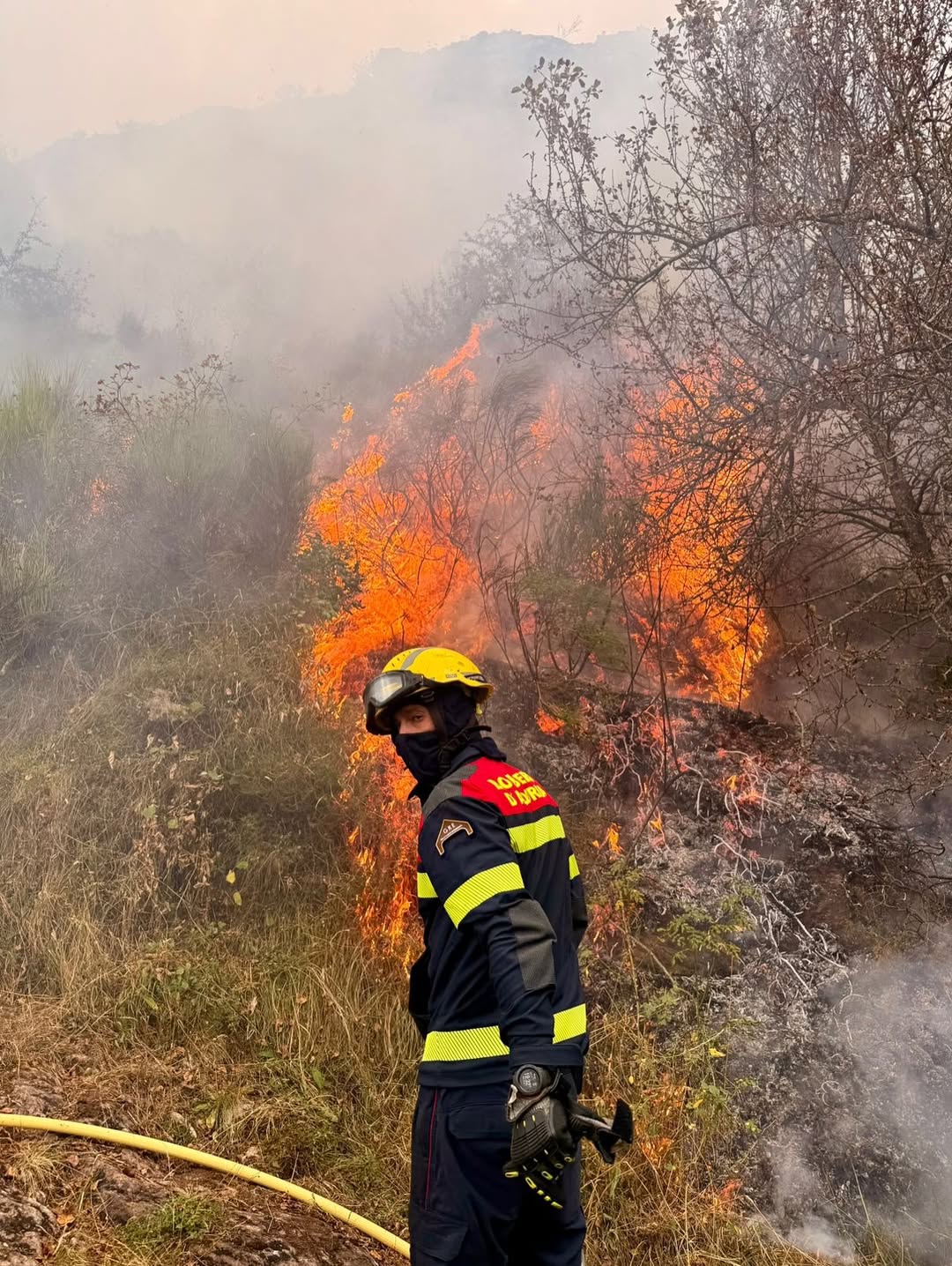 Els focs han estat violents i els bombers del país els han hagut de viure de prop. Els focs han estat violents i els bombers del país els han hagut de viure de prop.