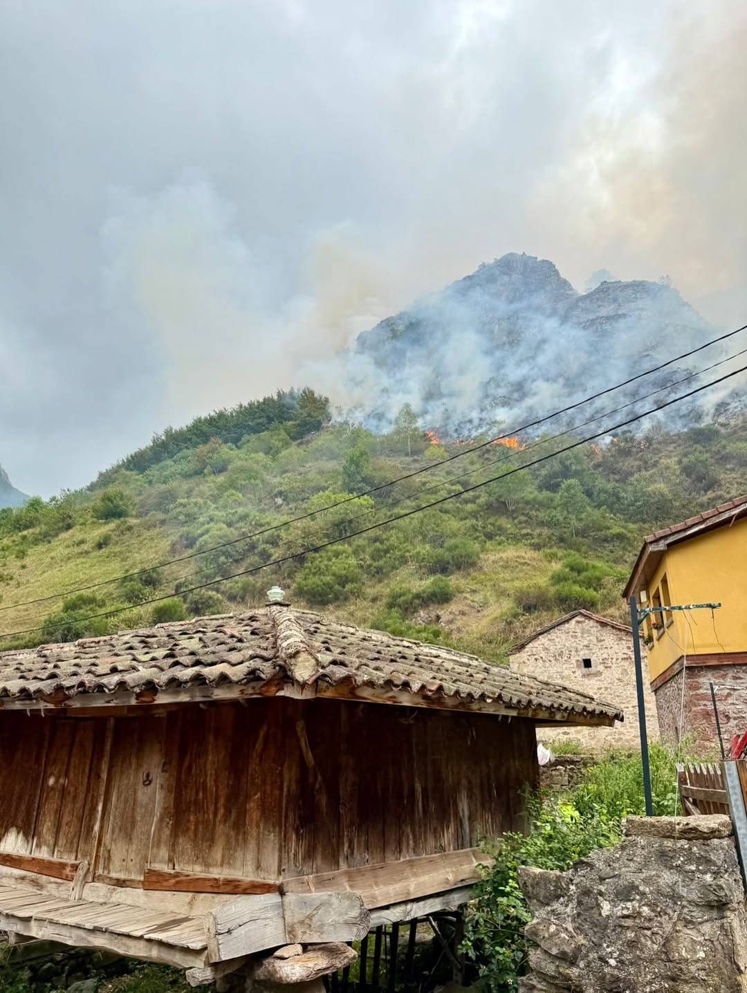 Els incendis han estat a tocar de nuclis habitats. Els incendis han estat a tocar de nuclis habitats.