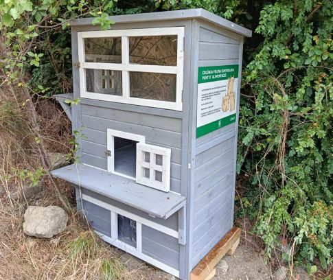 Zona d'una de les colònies de gats. Zona d'una de les colònies de gats.