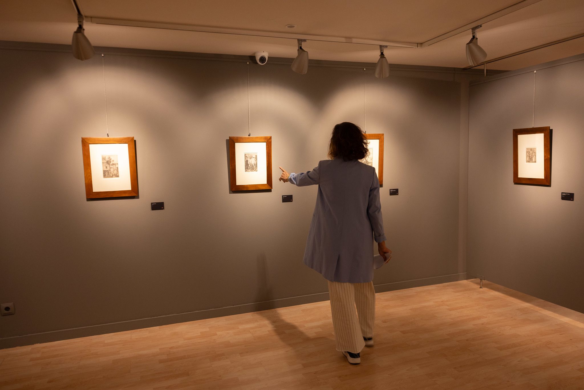 Una persona contempla l'exposició sobre Albrecht Dürer al CAEE.