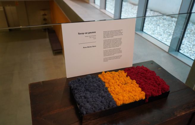 Una mostra de la peça 'Tocoy se-gausos'. Una mostra de la peça 'Tocoy se-gausos'.