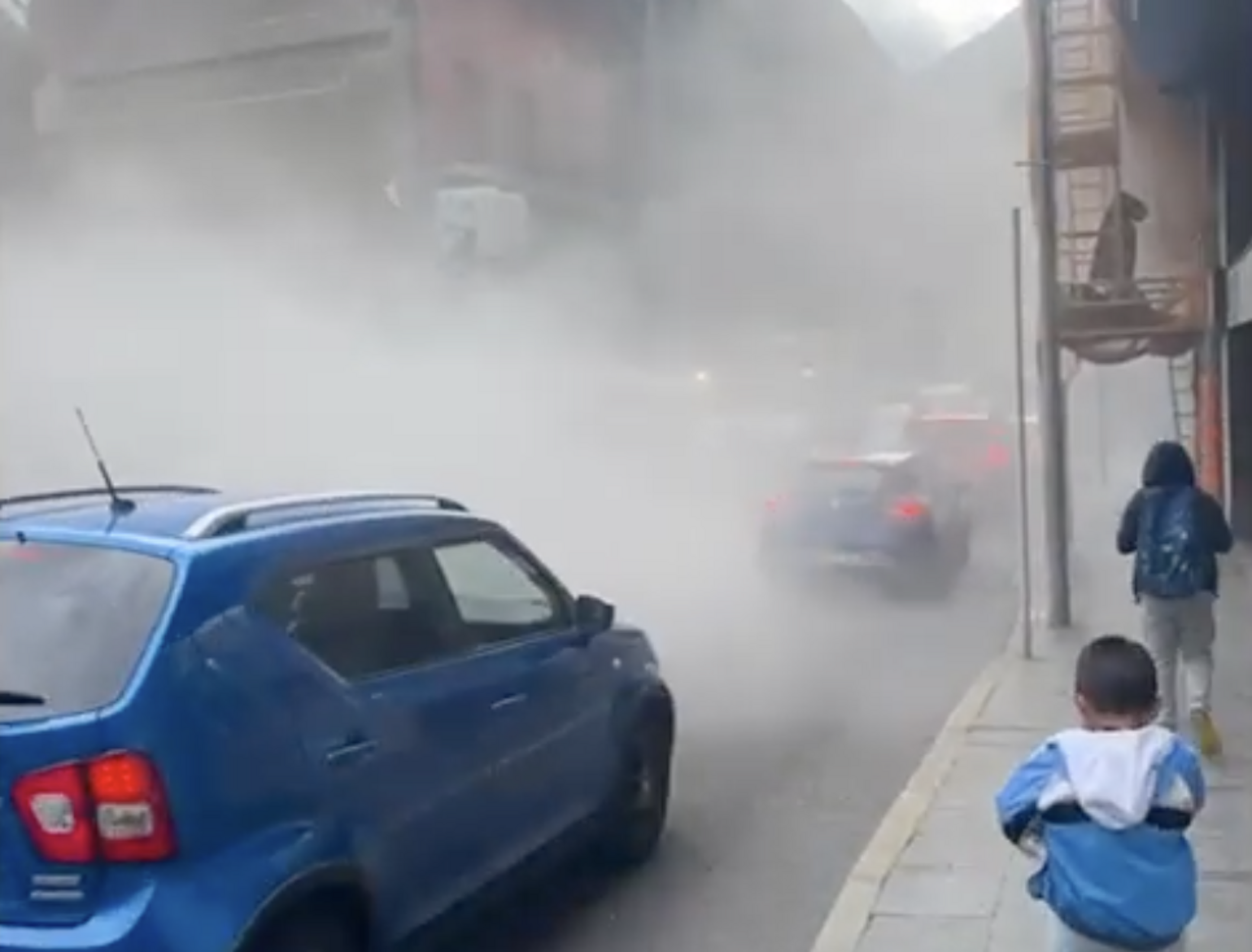 Polseguera al bell mig de l'avinguda Joan Martí.