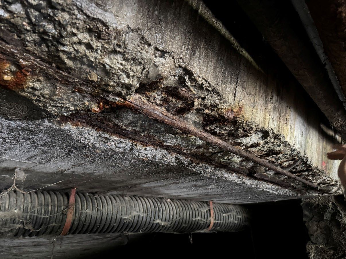Armadures vistes i oxidades en junta 1 de galeria. Armadures vistes i oxidades en junta 1 de galeria.