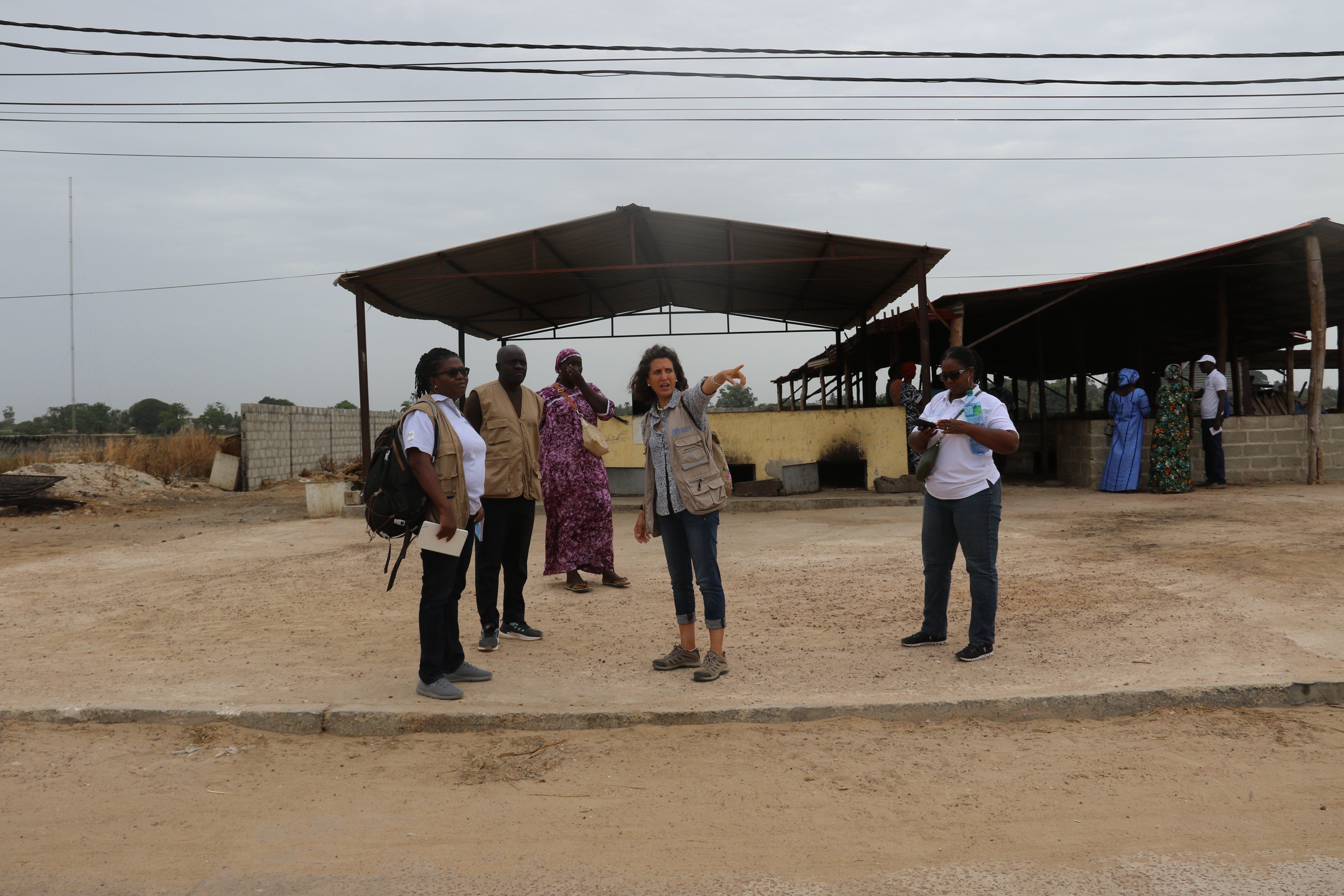 paula antoon paula antoon