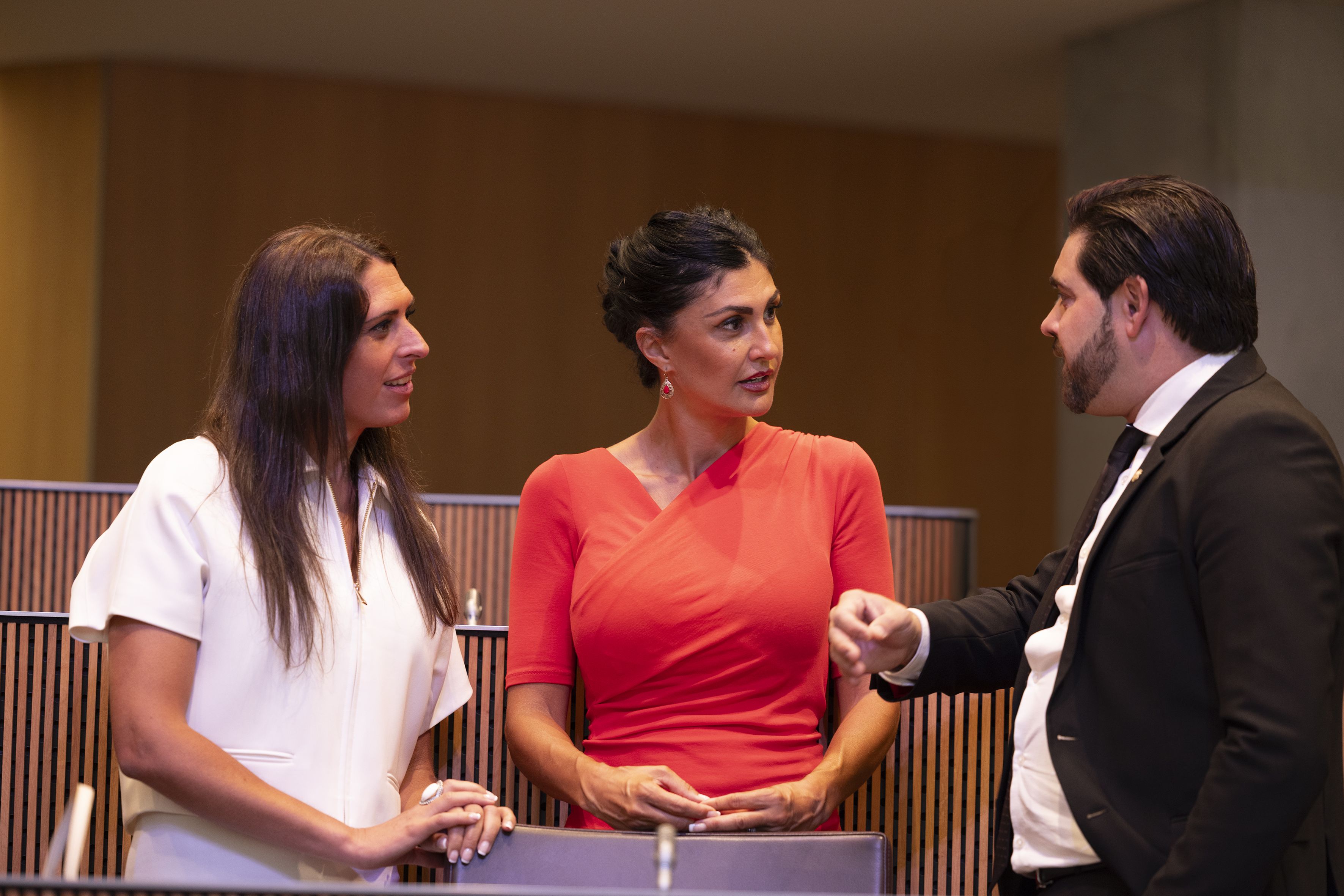 Noemí Amador, Carine Montaner i Marcos Monteagudo a l'hemicicle del Consell General.