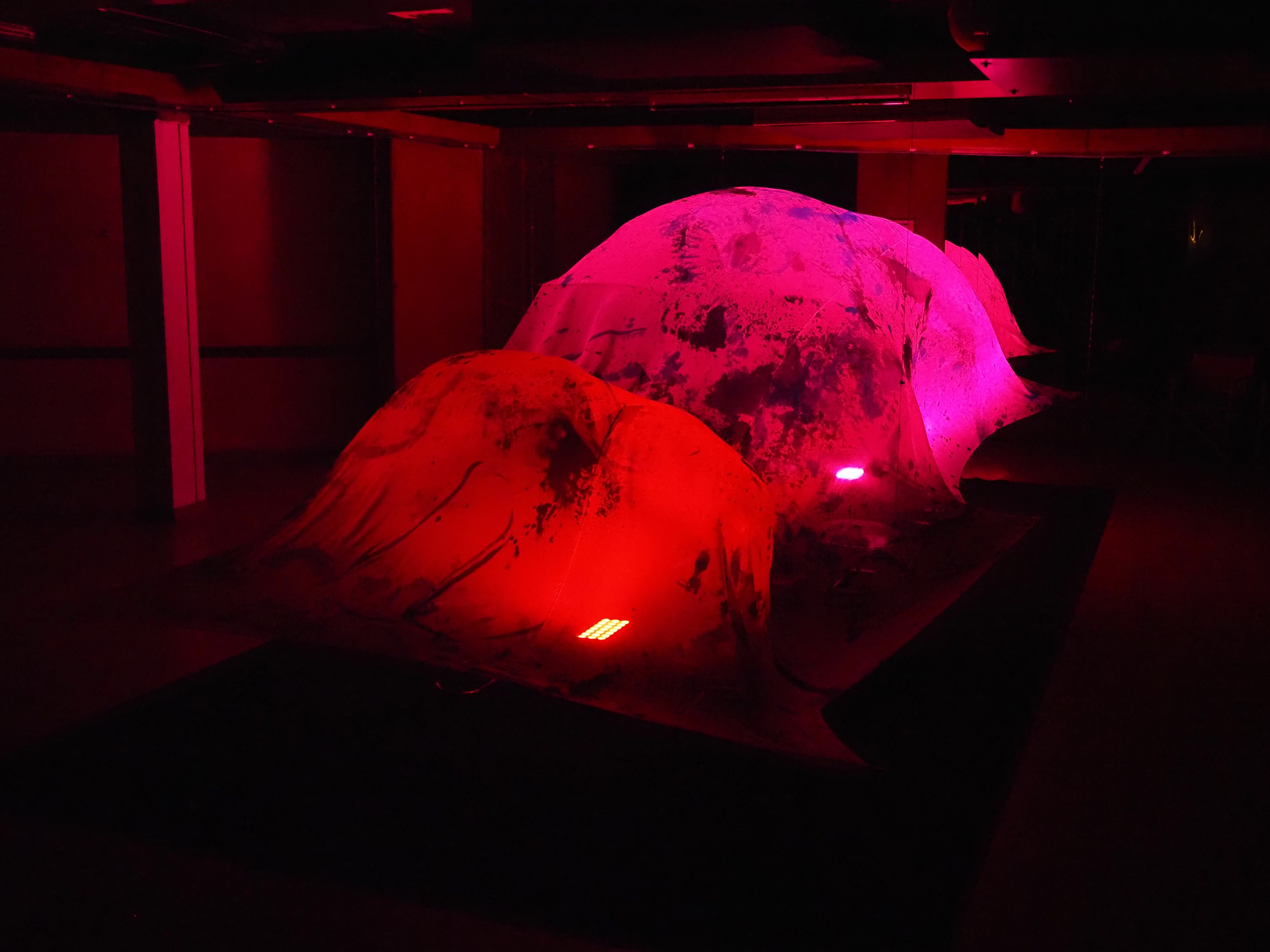 'Cabdal', d'Anna Mangot. 'Cabdal', d'Anna Mangot.