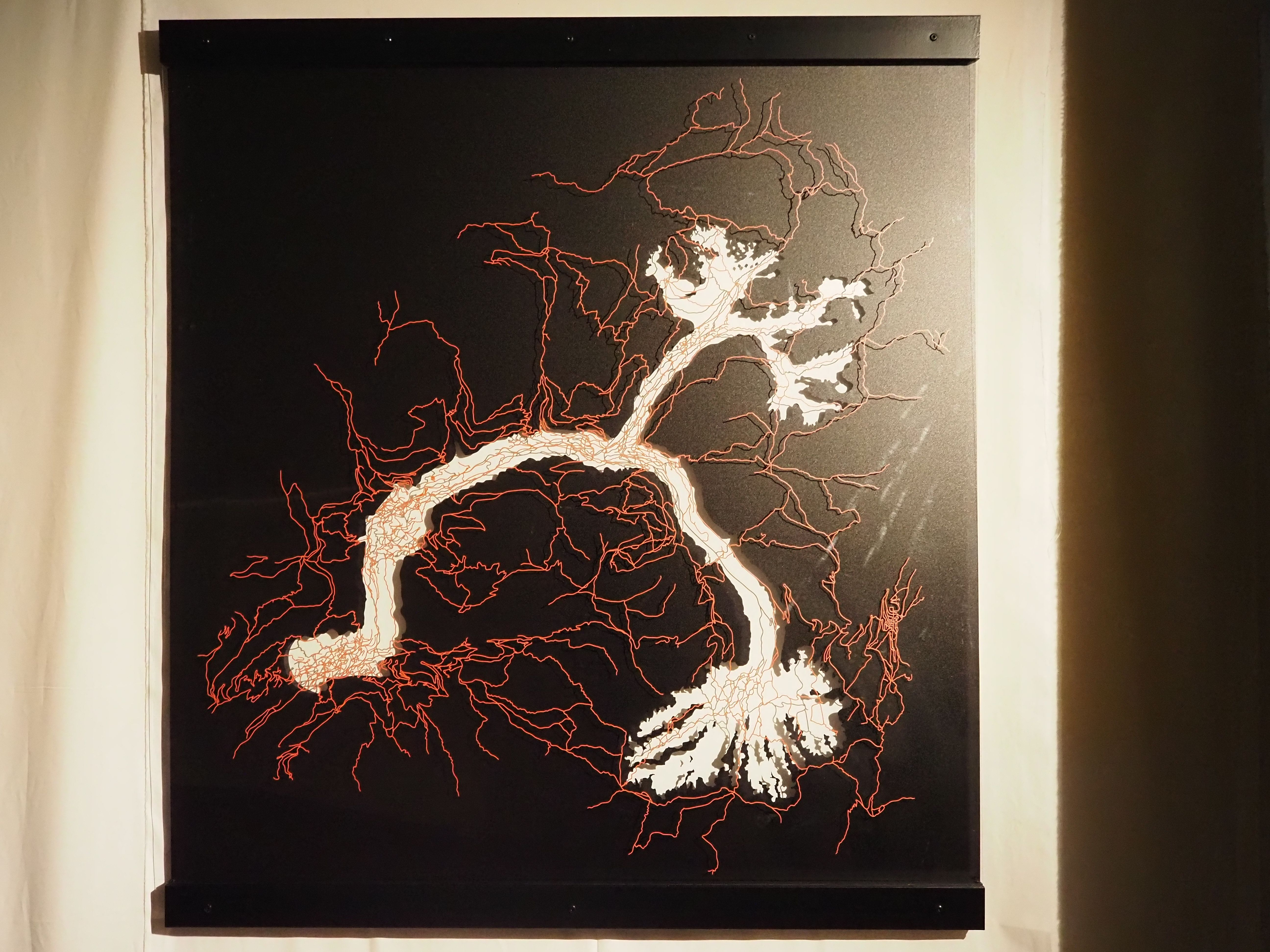 Yoso ha recreat la xarxa de camins i ramificacions del riu Valira. Yoso ha recreat la xarxa de camins i ramificacions del riu Valira.