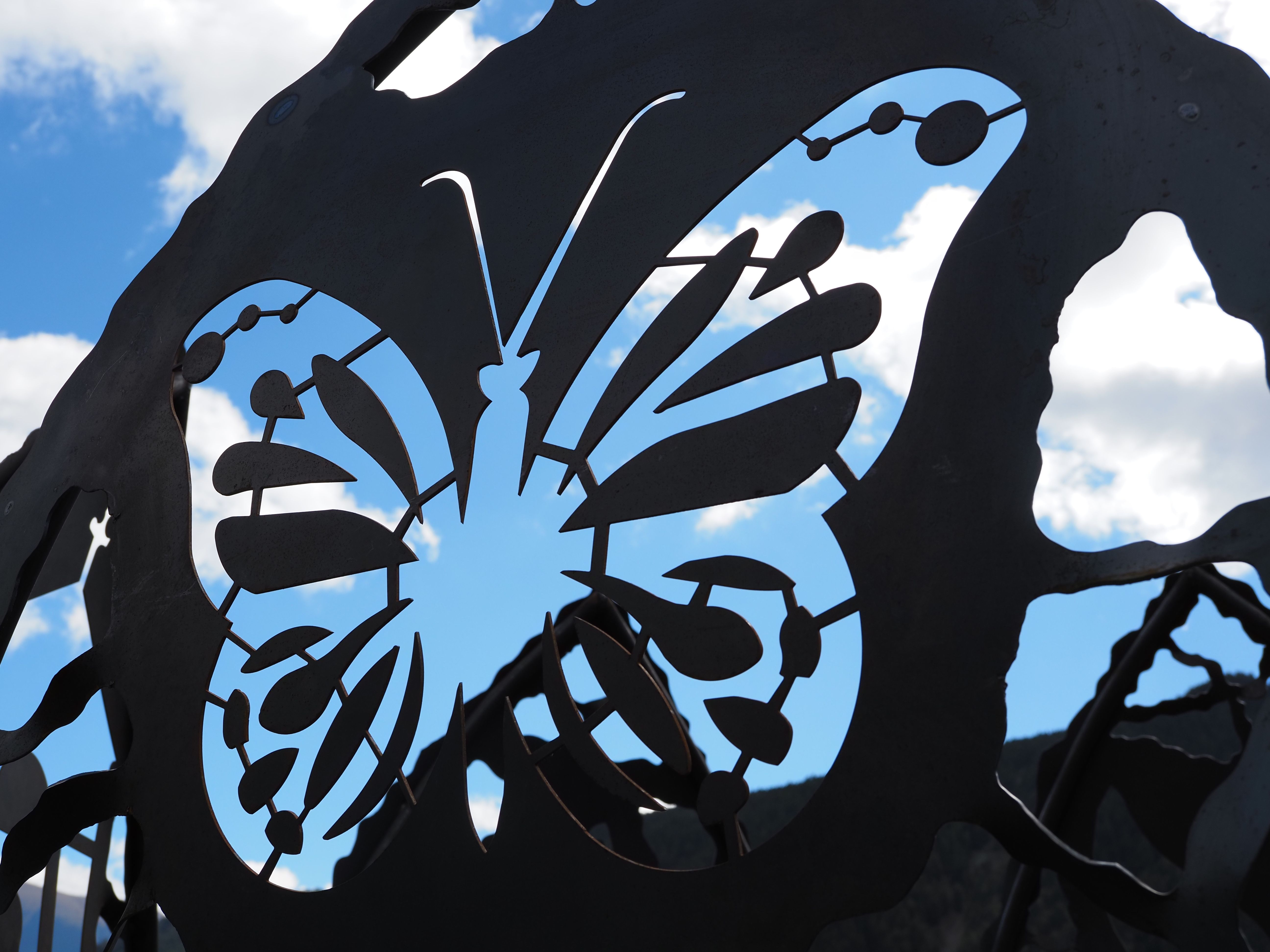 Un detall d'un dels pètals de les grandalles de Cruz.