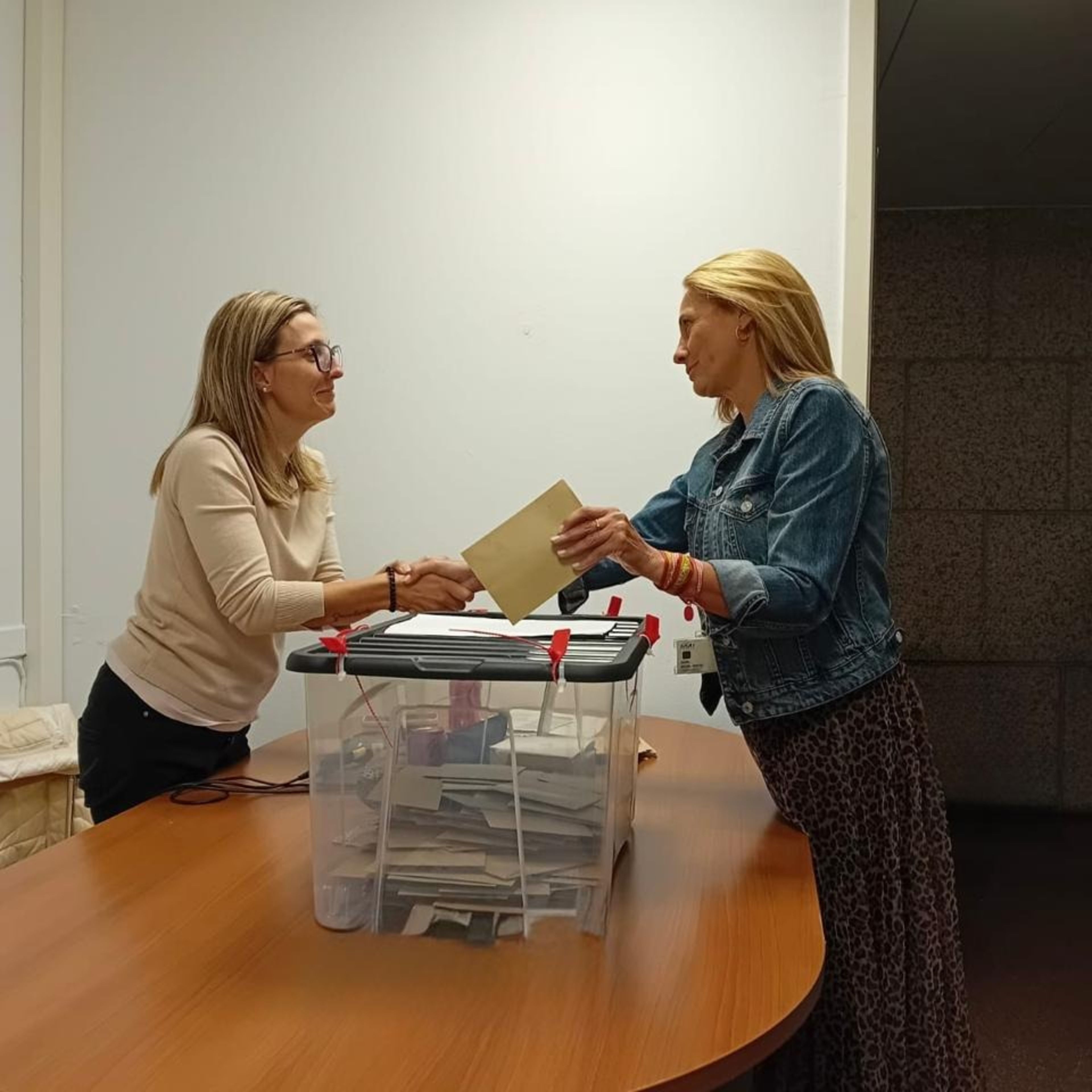 Un moment de les votacions, aquest dimarts.