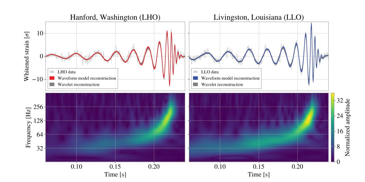 Representació de les dades corresponents al senyal gravitacional GW250114 i la seva reconstrucció - Crèdit: LIGO-Virgo-KAGRA Collaboration La portaveu del Sindicat, Rebeca Bonache.