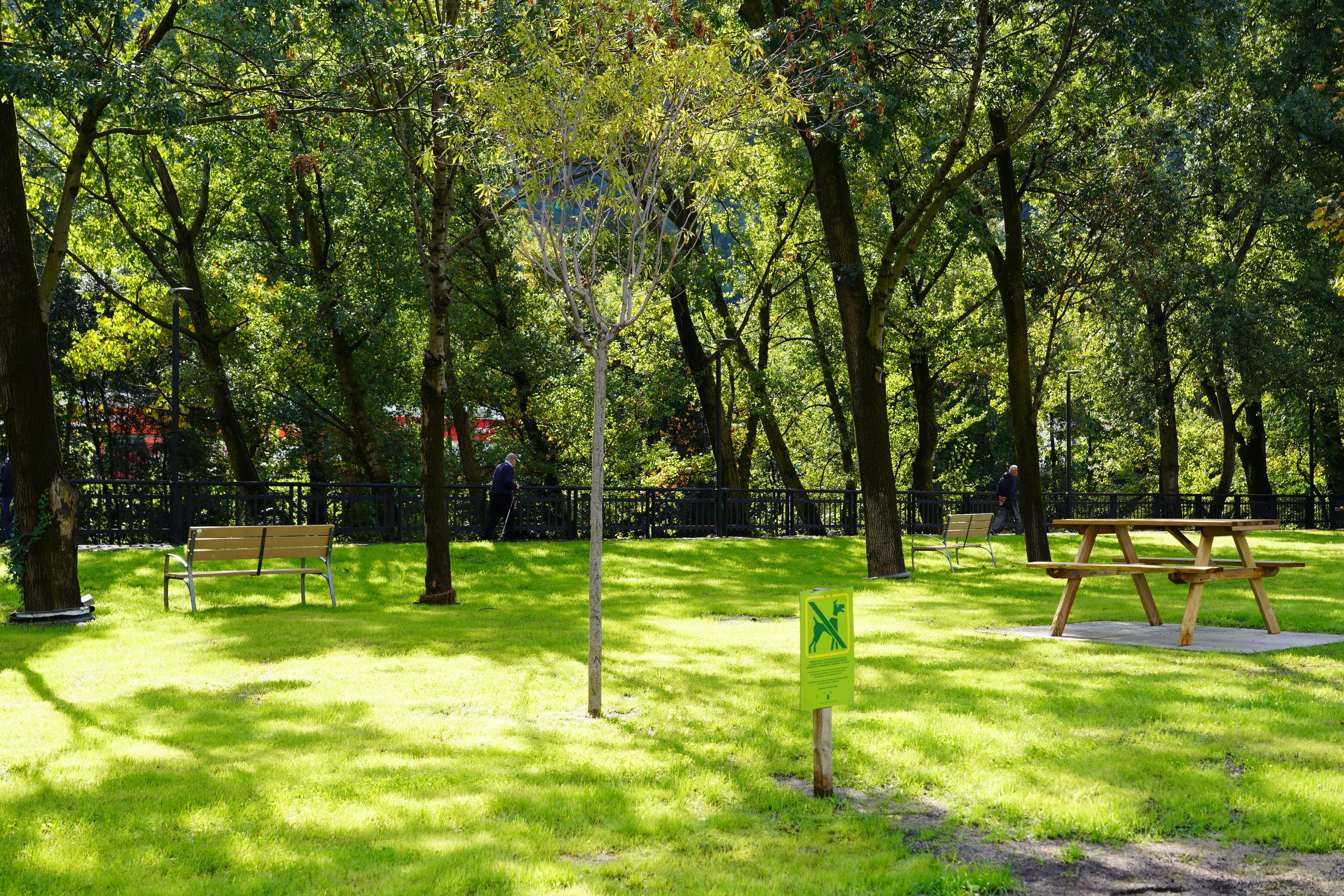 Vista de la zona verda amb taules i bancs. Vista de la zona verda amb taules i bancs.