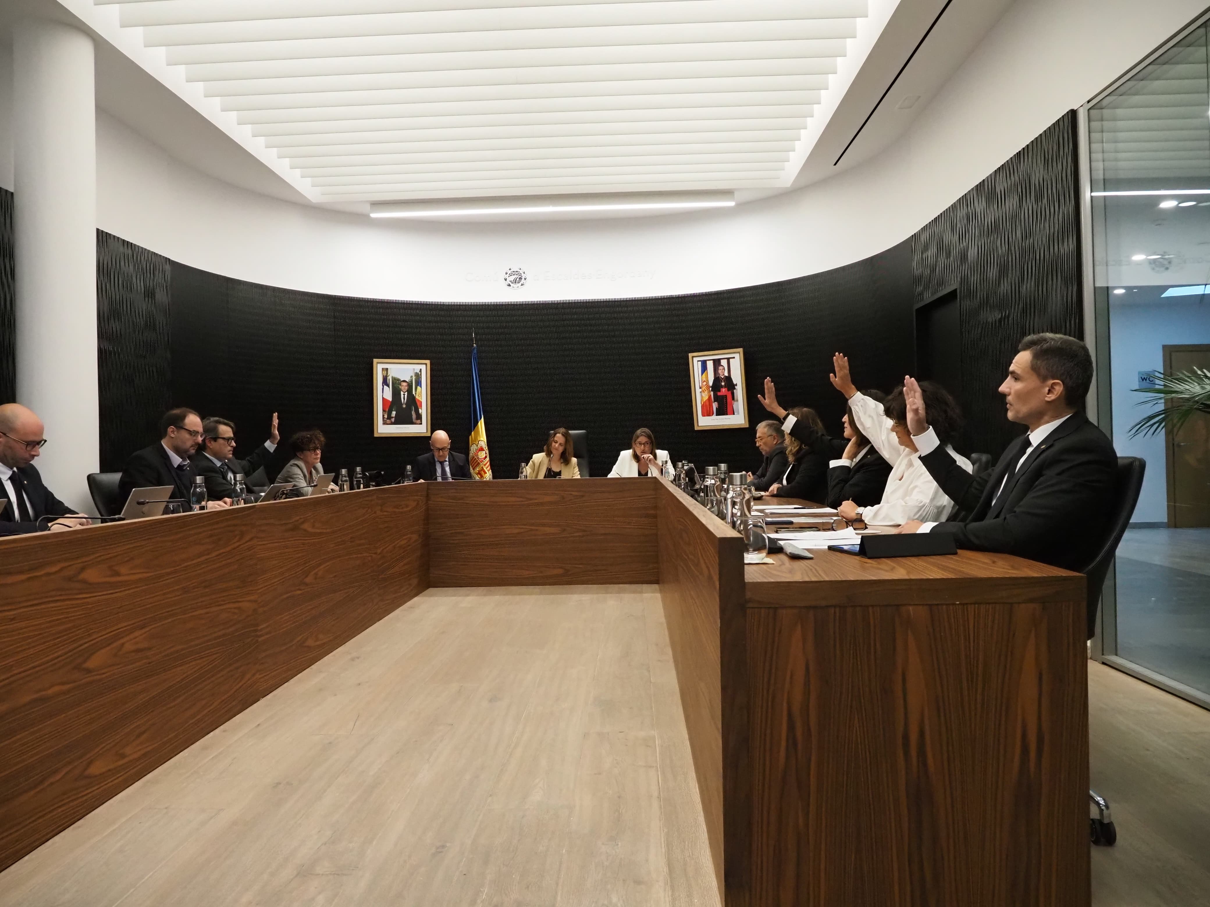 David Pérez votant en el mateix sentit que els consellers de la minoria comunal de Demòcrates.