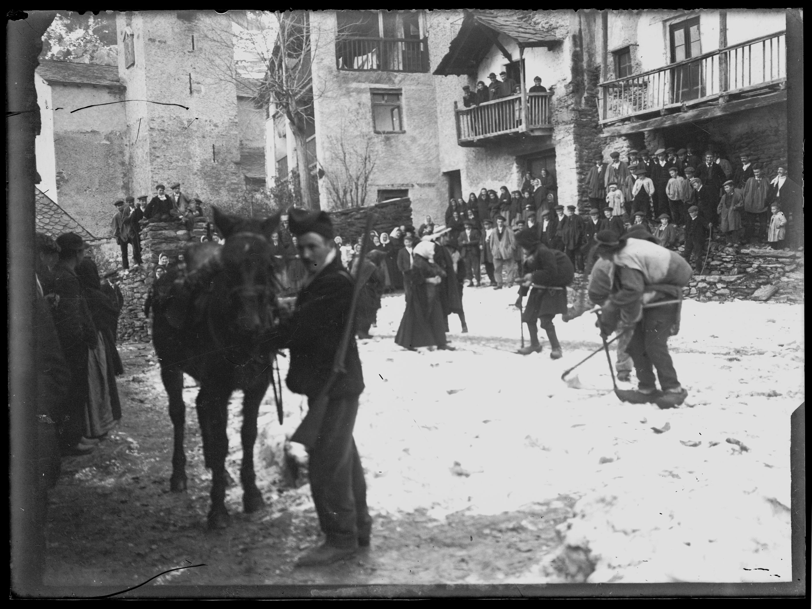 003 Guillem de Plandolit ANA FGP 0320