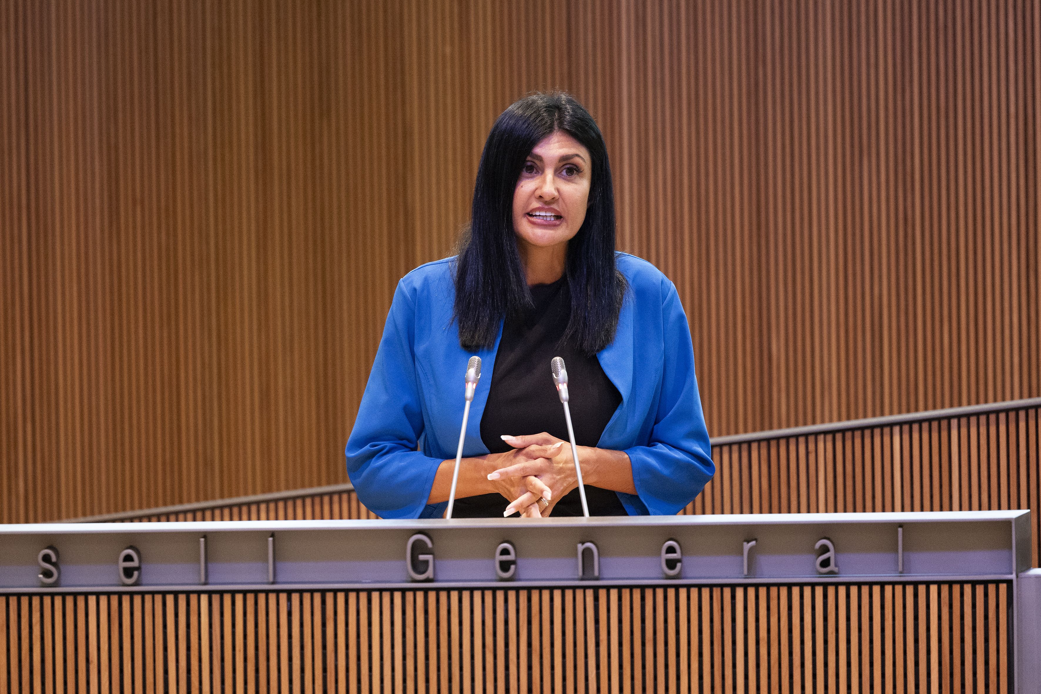 Carine Montaner al faristol del Consell General.