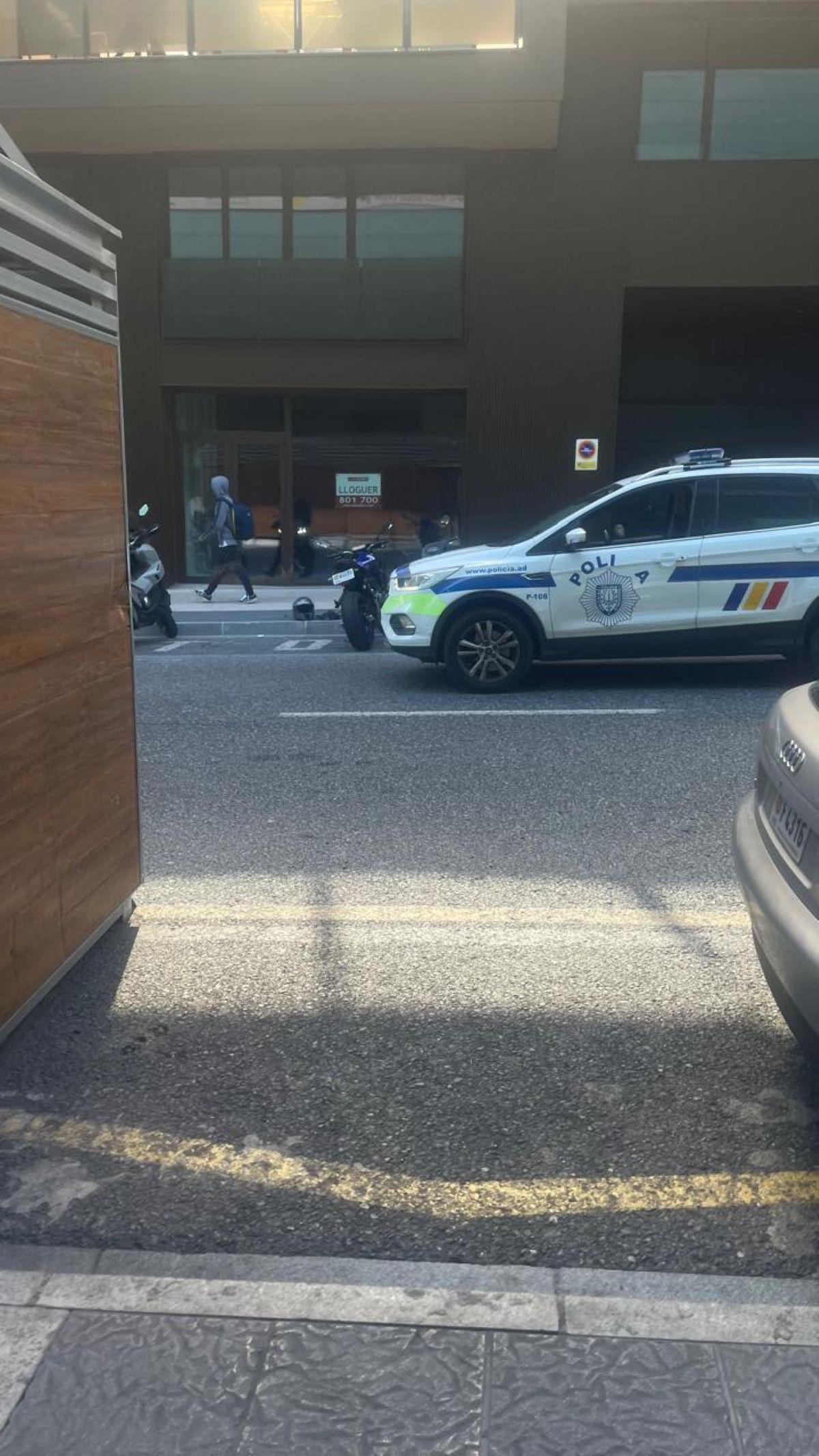 El vehicle policial, al lloc on s'ha produït l'incident.