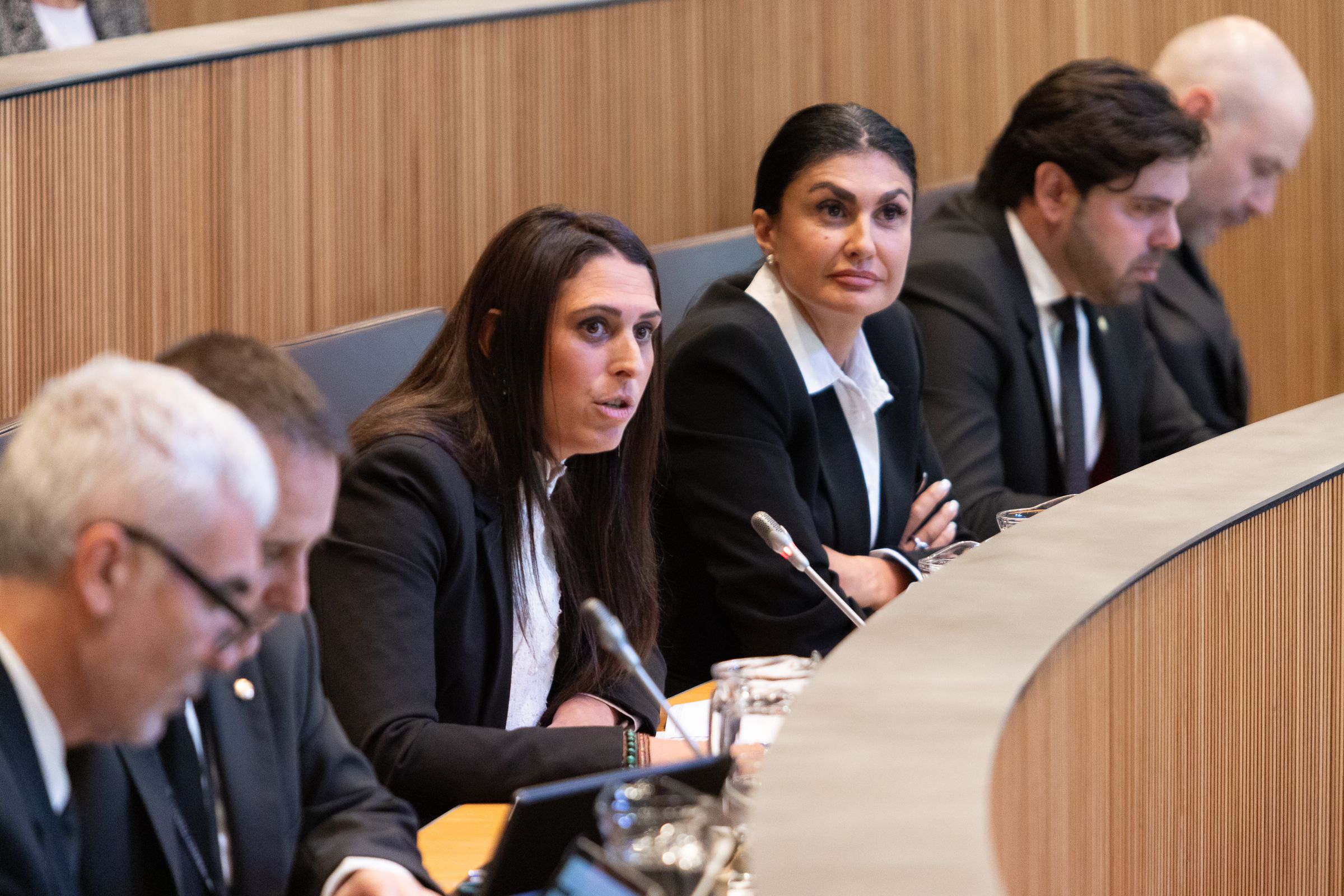 Els consellers d'Andorra Endavant s'han quedat sols defensant la proposta.