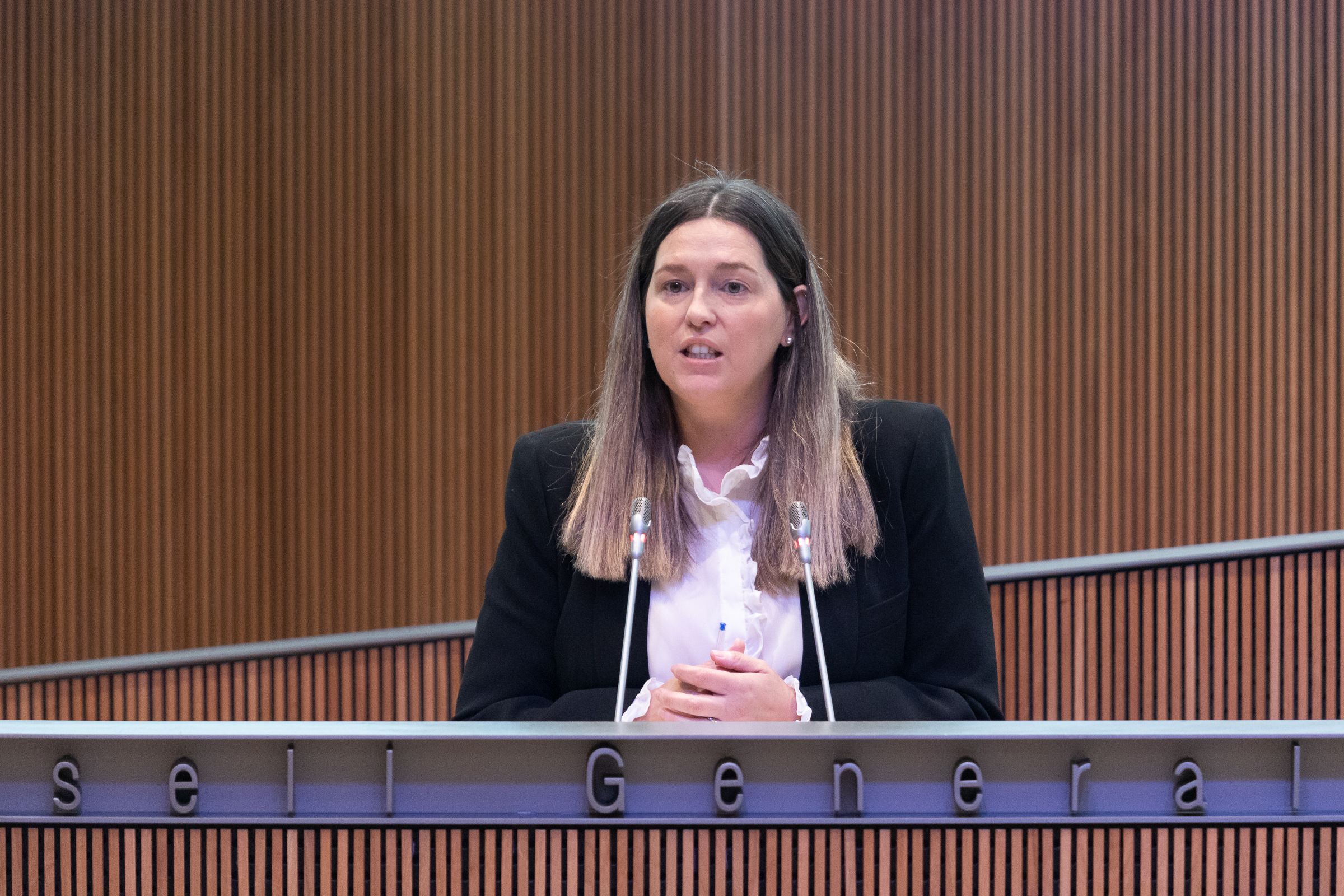 Maria Martisella, durant la seva intervenció al ple.