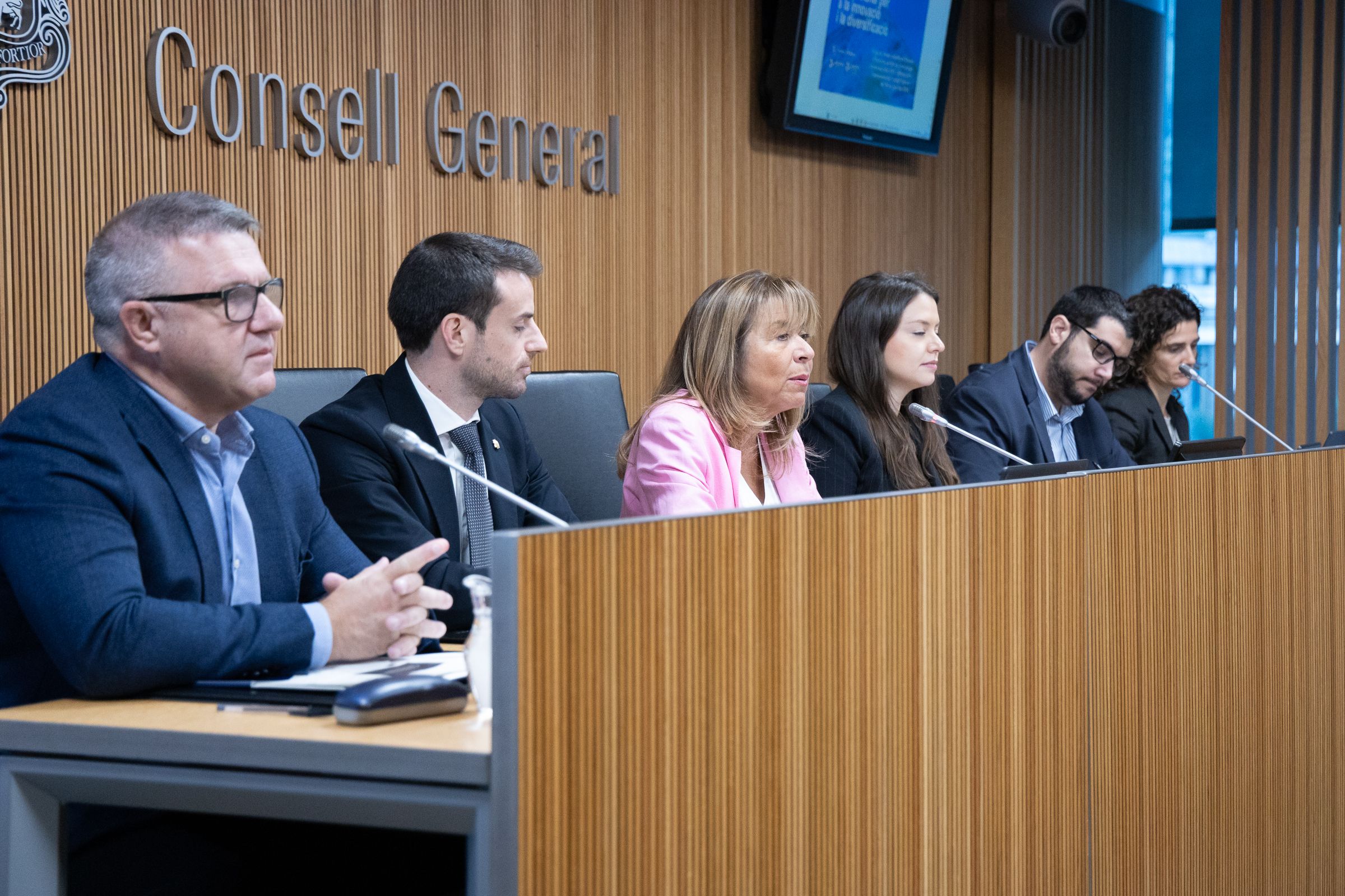 Un moment de la compareixença de Marsol davant la comissió legislativa d'Economia.