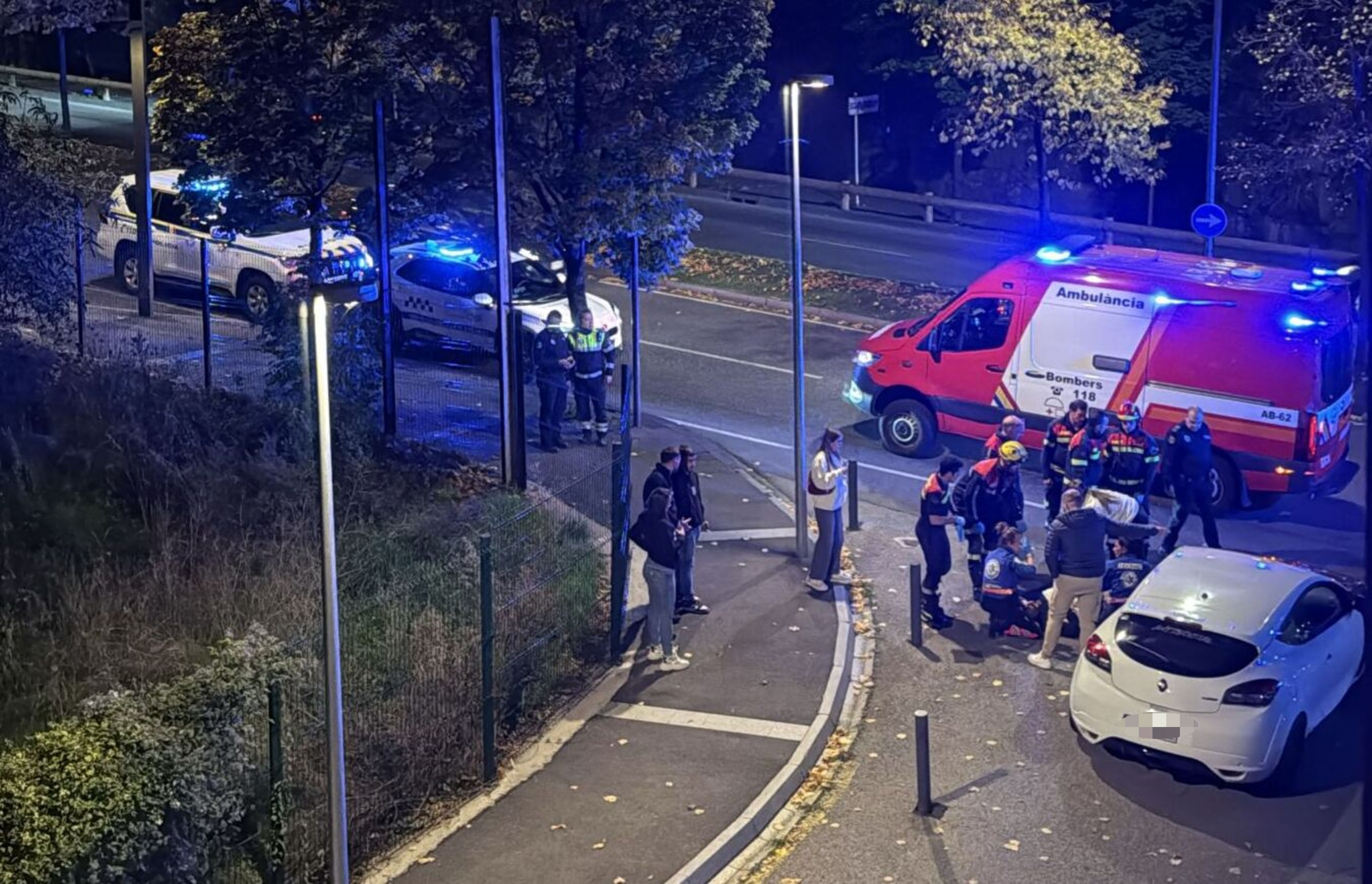 Els bombers i el SUM han acudit a atendre el conductor.