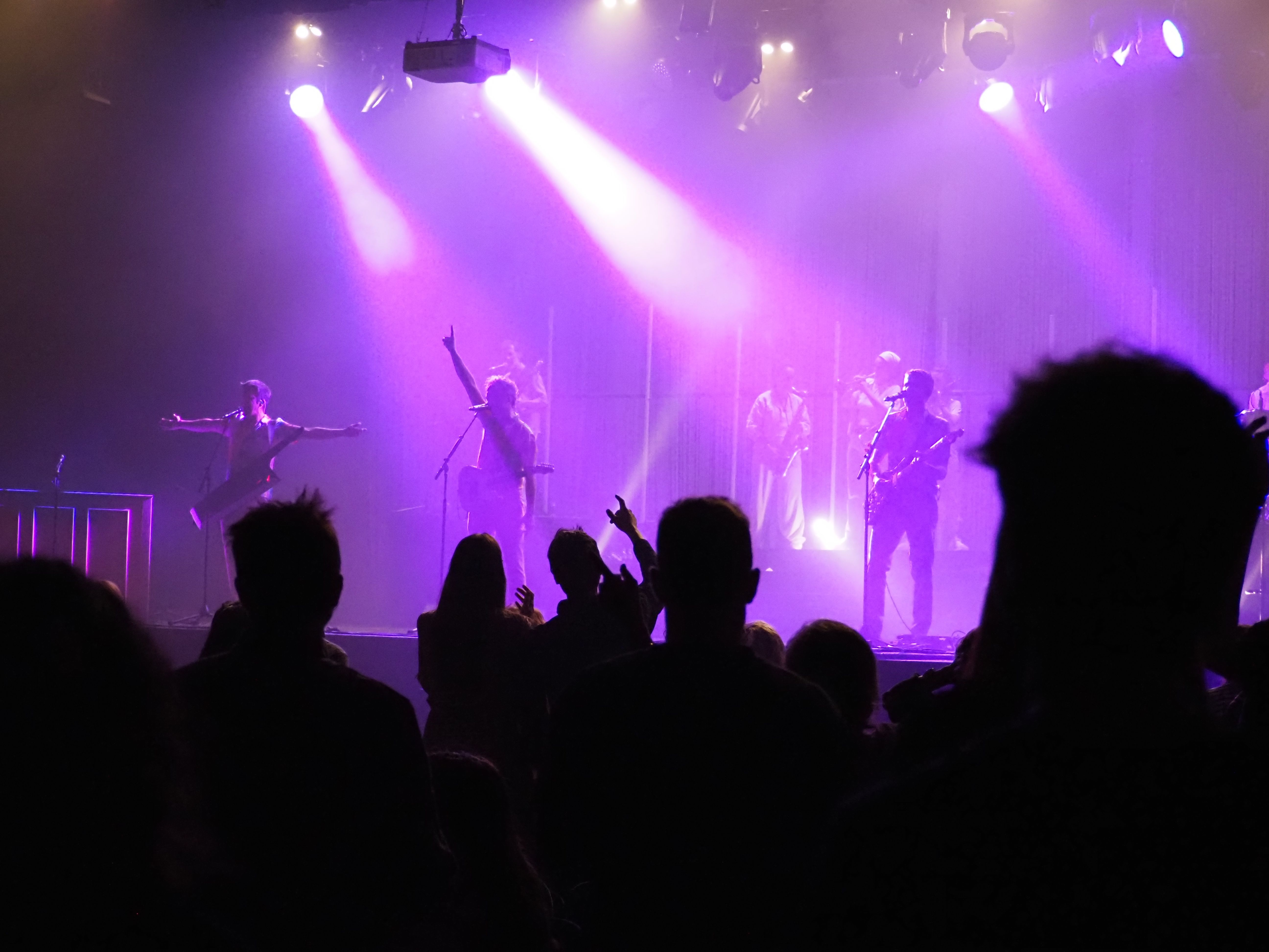 Un instant del concert d'Els Amics de les Arts.