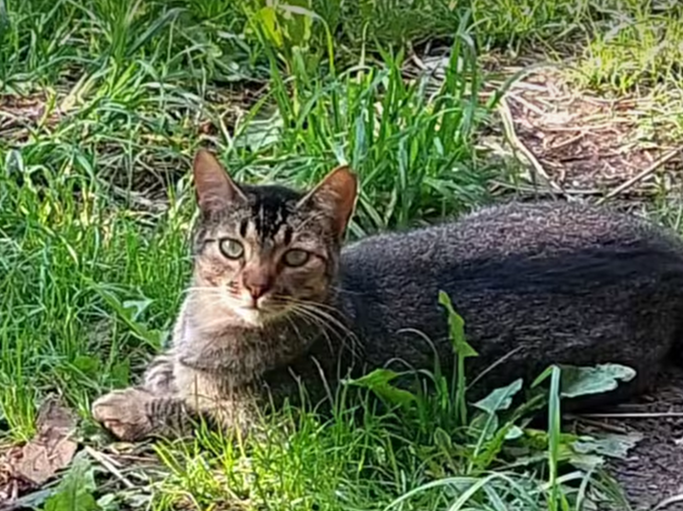 IMG 5164 (1) (1) (1) IMG 5164 (1) (1) (1)