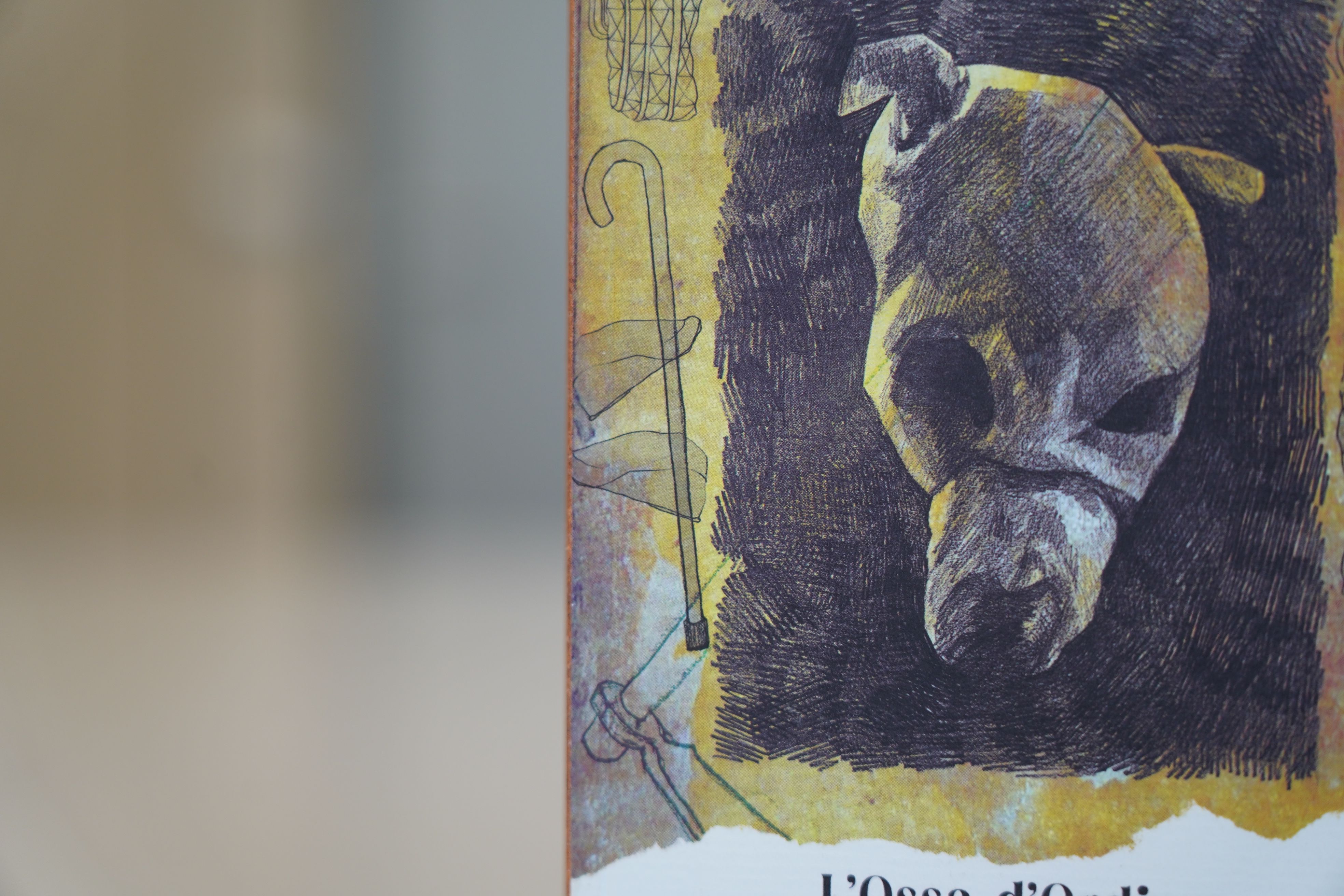 El dibuix de Montse Mayol que serveix per il·lustrar la portada del llibre d'Albert Roig.