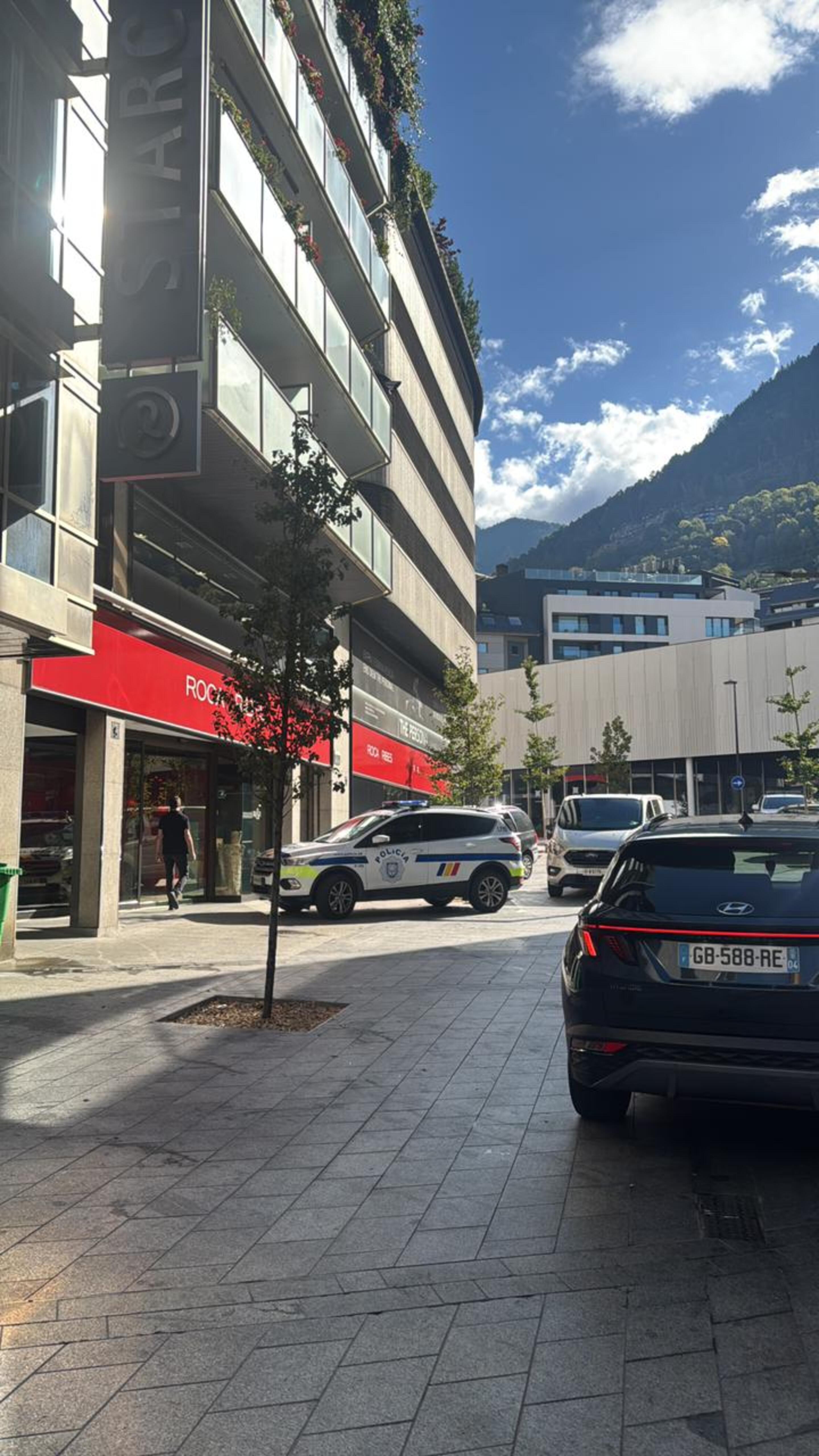 Un dels cotxes policials en les immediacions del domicili on han transcorregut els fets.