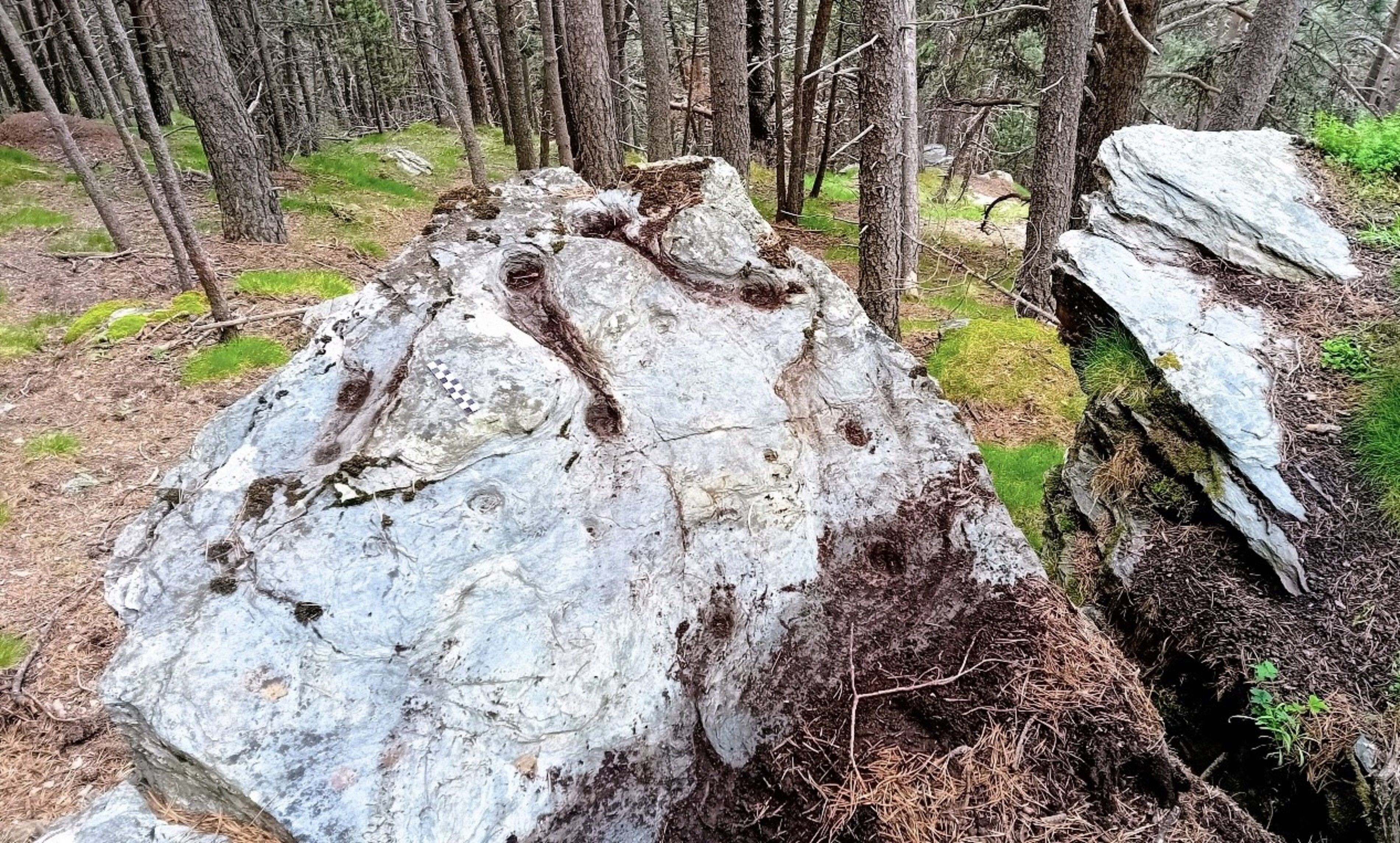 Imatge dels gravats de la muntanya del Rep, a Encamp.