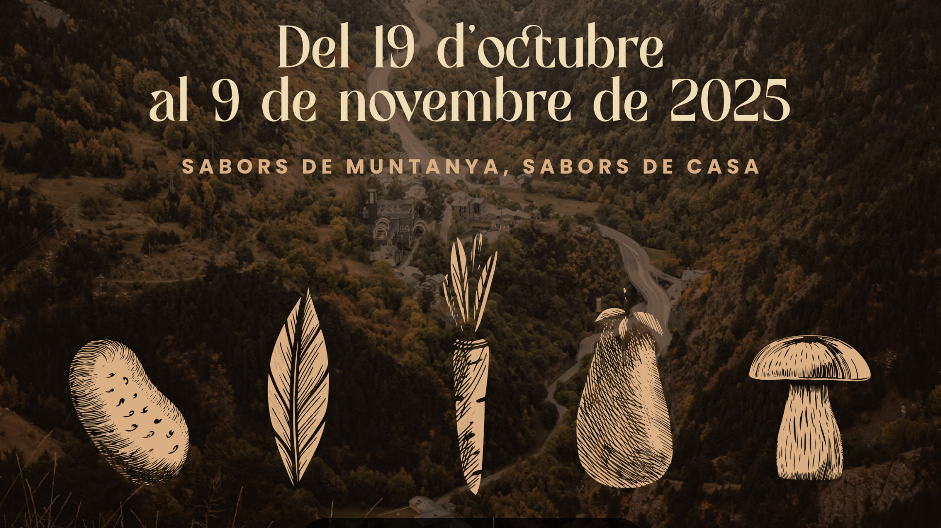 El cartell de la iniciativa.