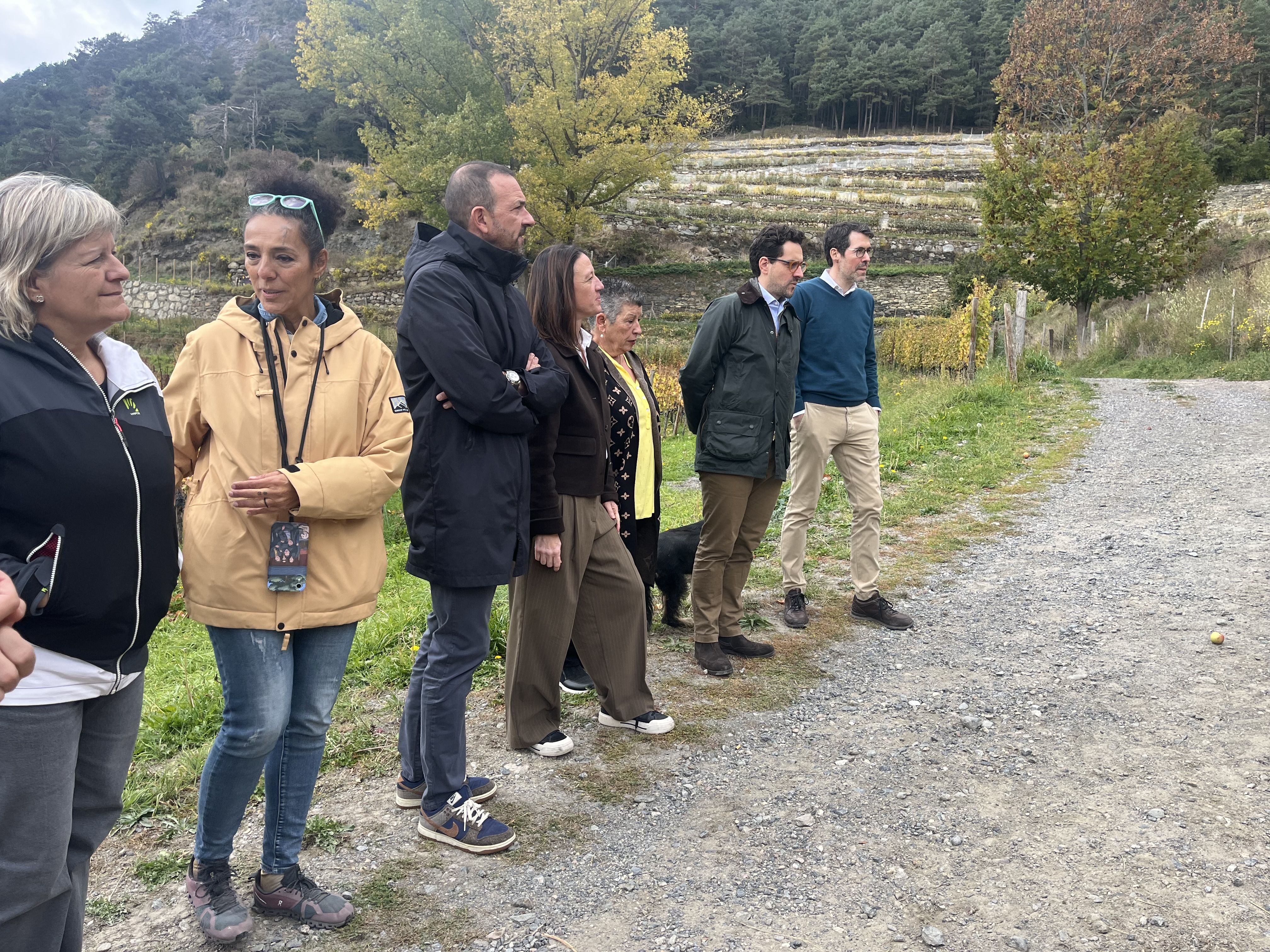 Les autoritats presents a la presentació de la verema 2025.