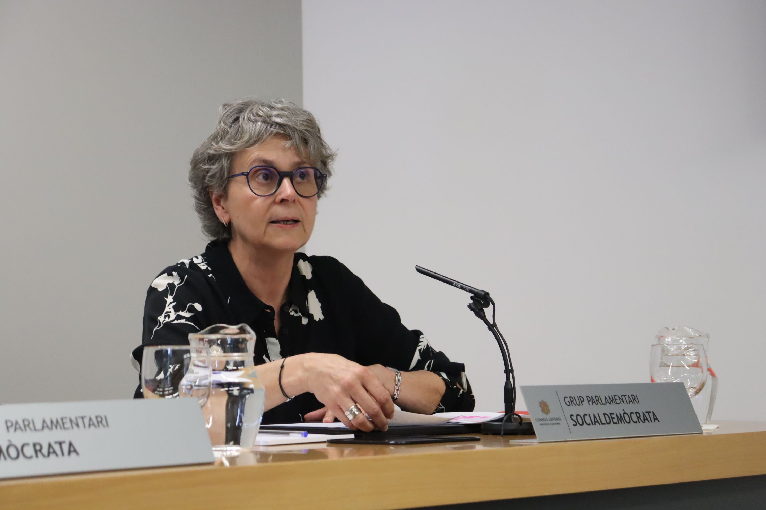 La presidenta del grup parlamentari socialdemòcrata, Susanna Vela.