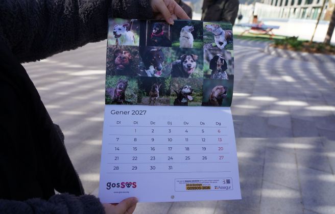 Calendari solidari de GosSOS.