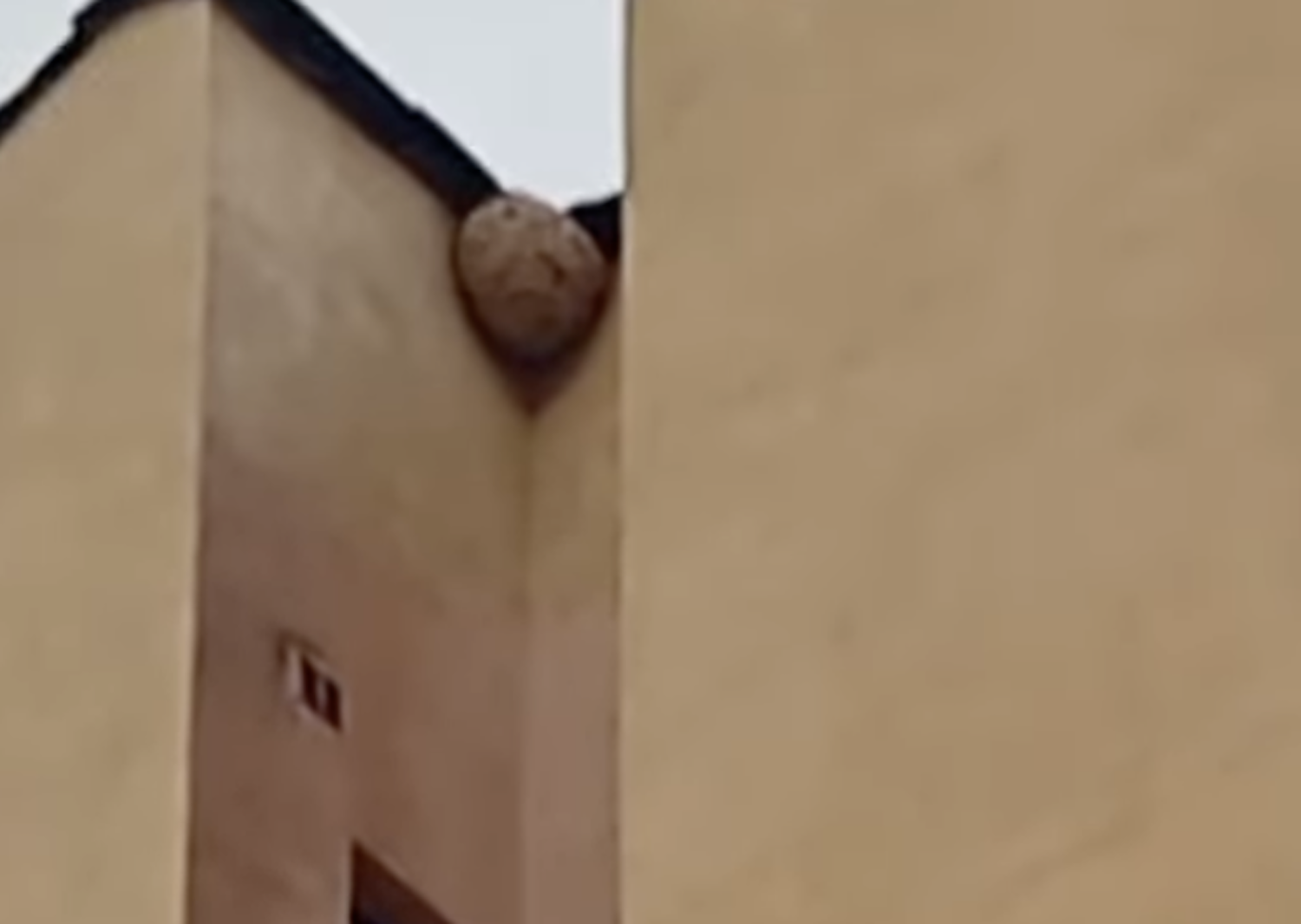 El niu a la part superior exterior de l’edifici.