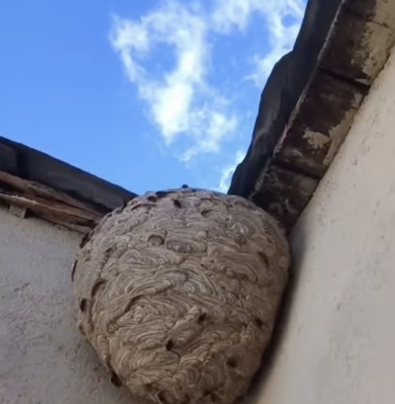 Captura de pantalla 2025 10 24 a les 11.49.52