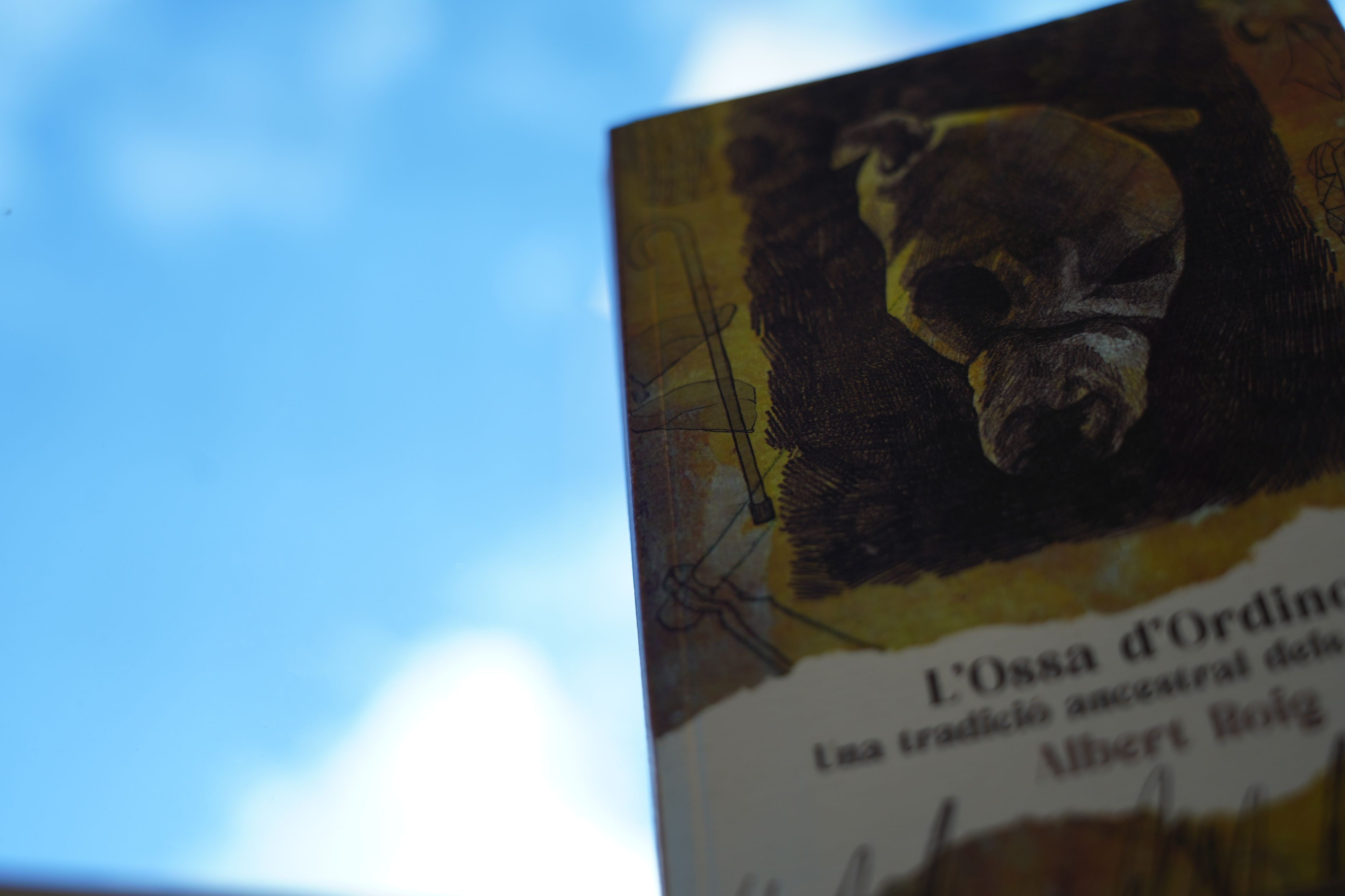 La portada controvertida del llibre divulgatiu.