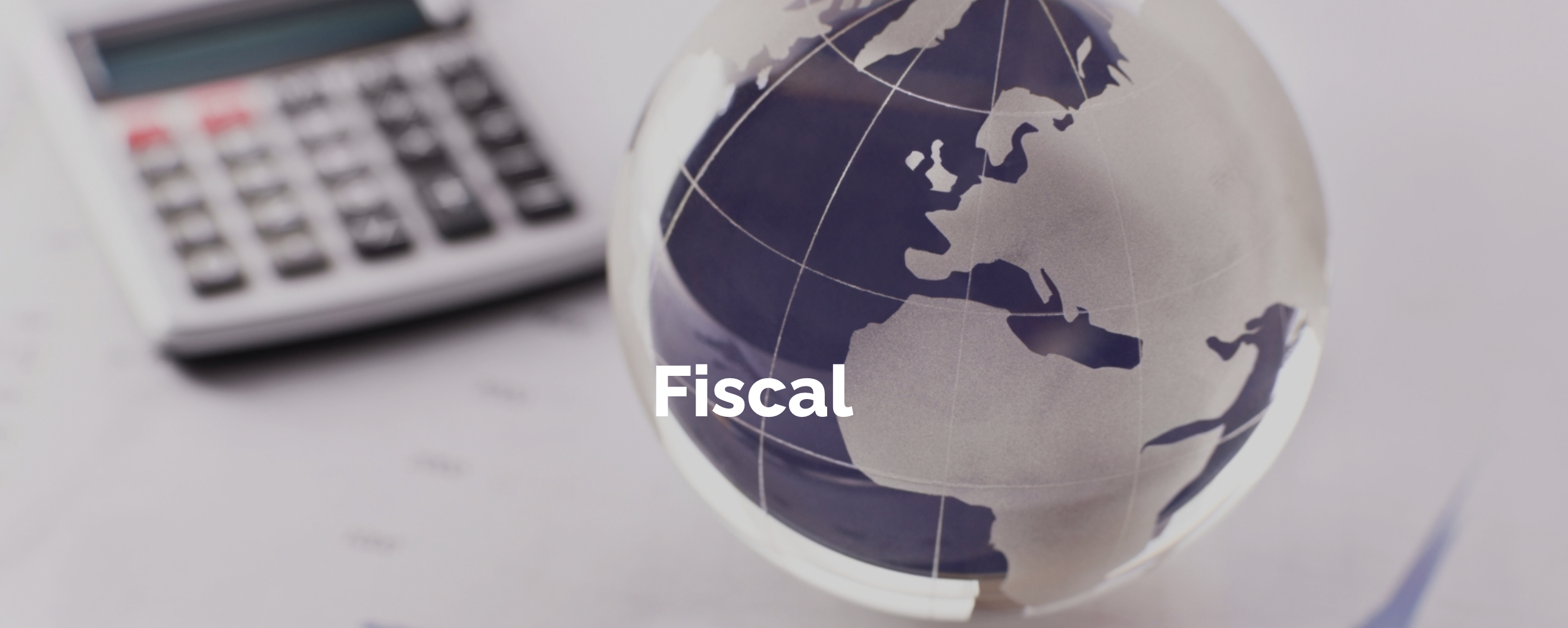 El grup jurídic està entre altres especialitzat en qüestions fiscals.