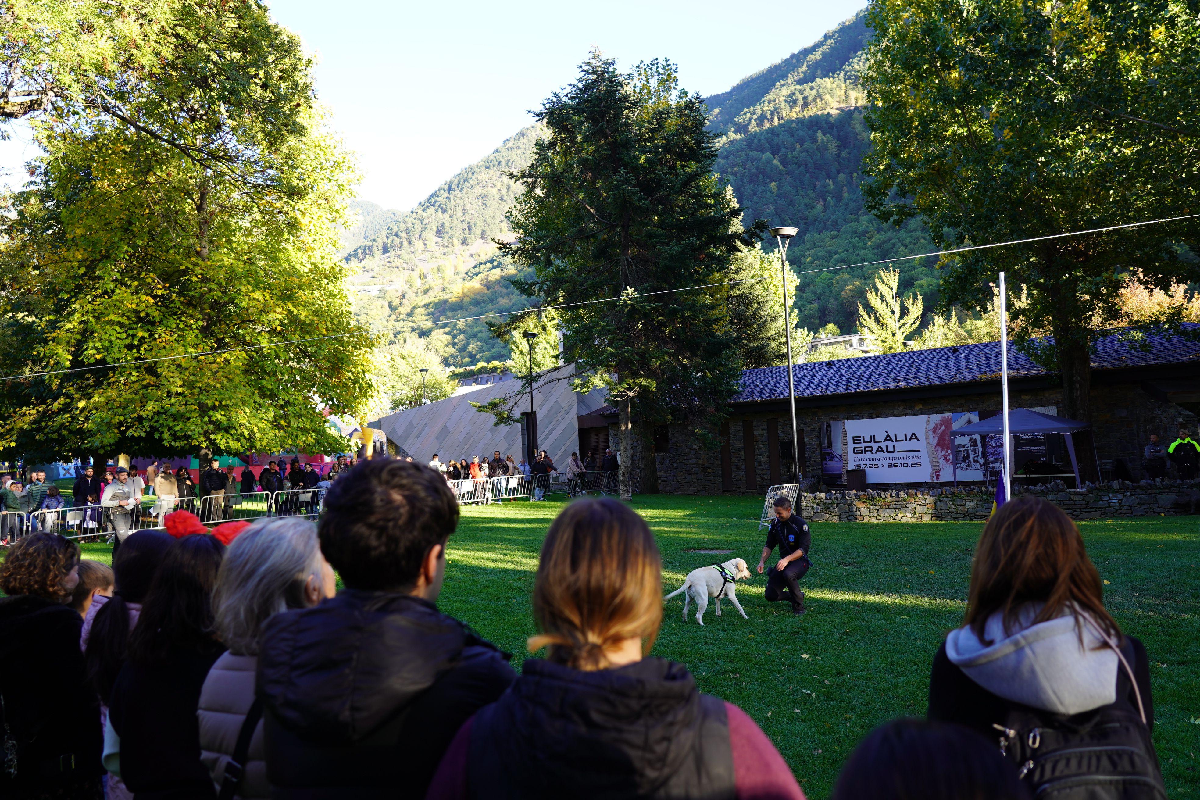 Exhibició d’ensinistrament de gossos per part de la policia. Exhibició d’ensinistrament de gossos per part de la policia.