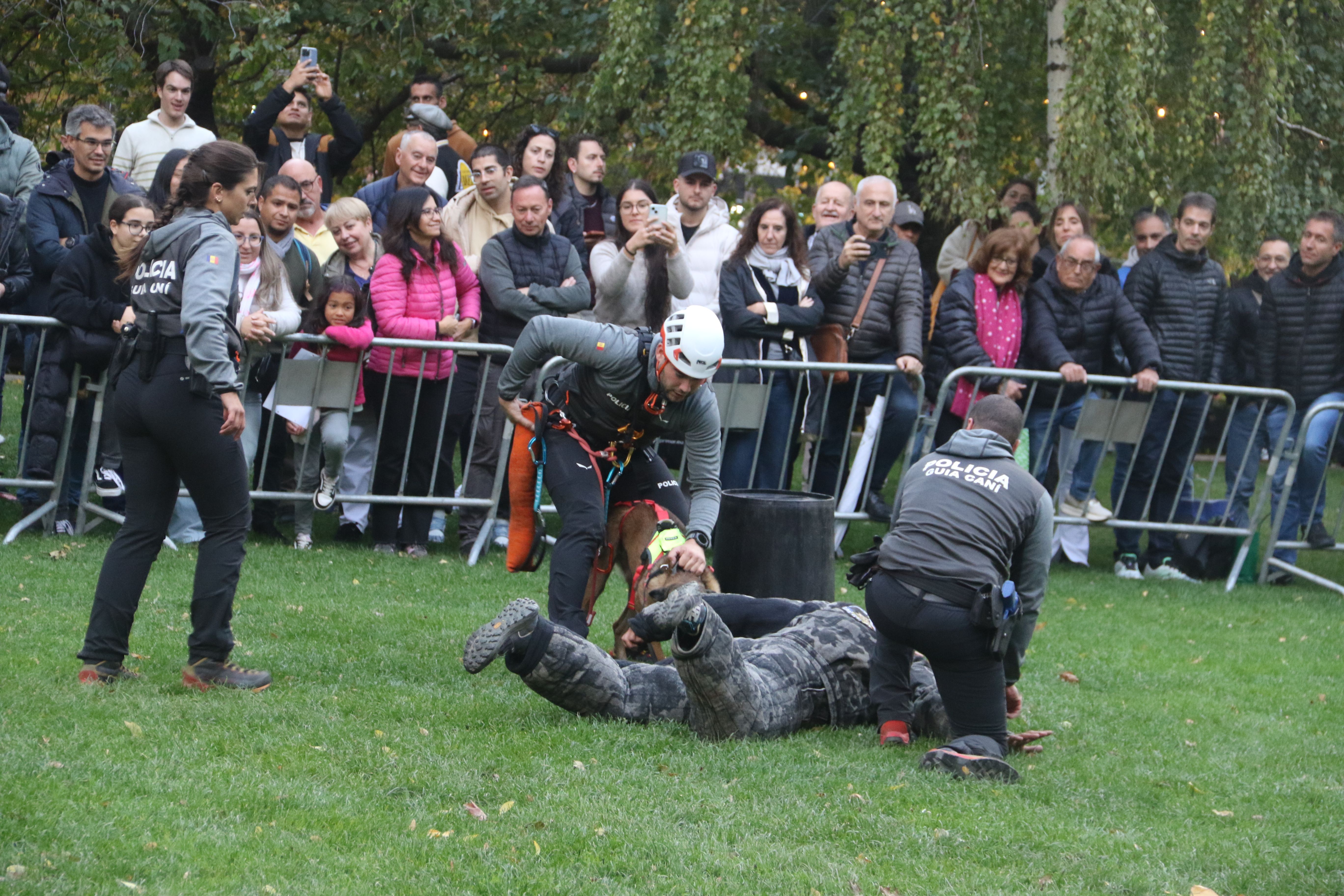 Reducció d'un sospitós. Reducció d'un sospitós.