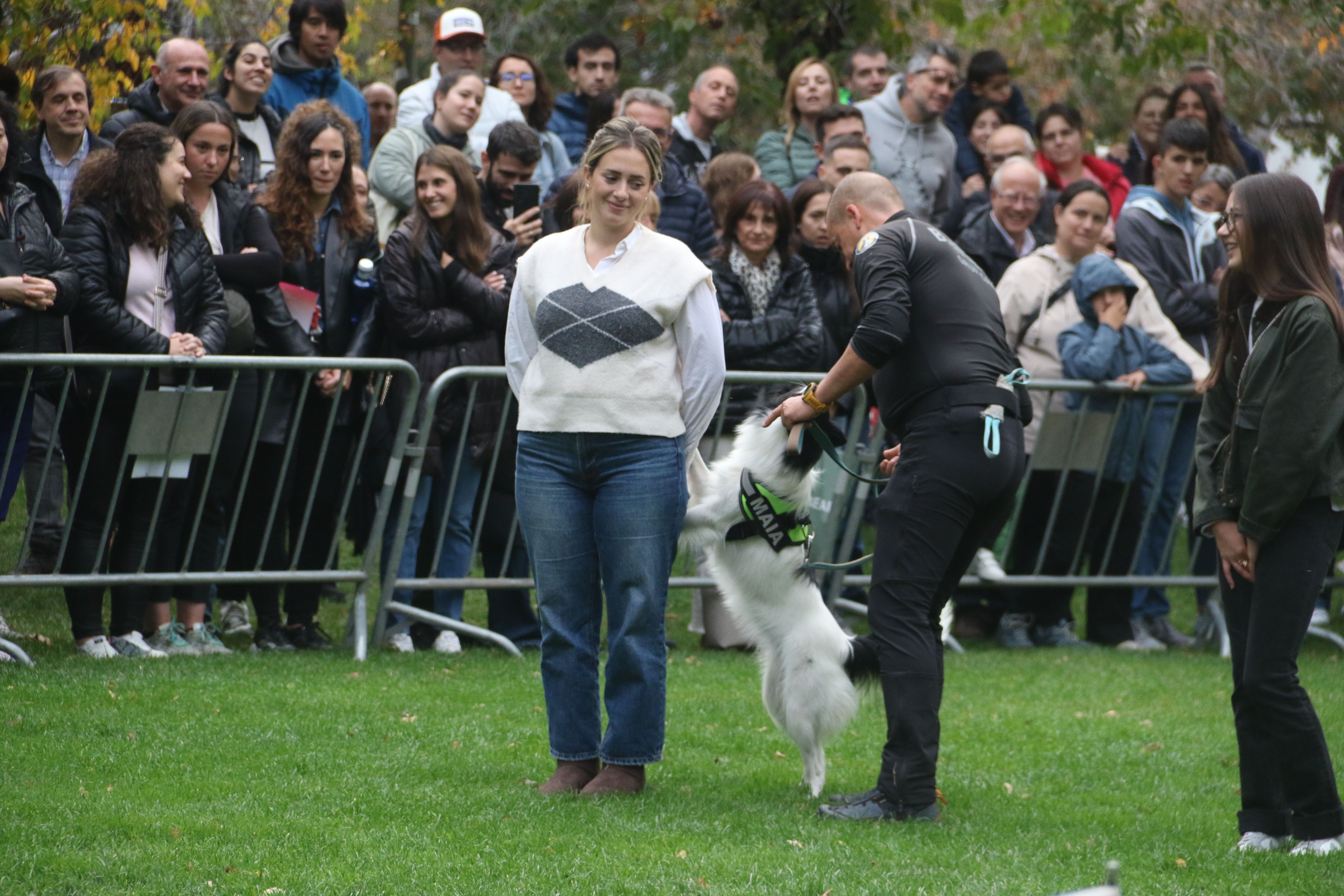 Un dels gossos de banders cercant truites que incomplien la mida. Un dels gossos de banders cercant truites que incomplien la mida.