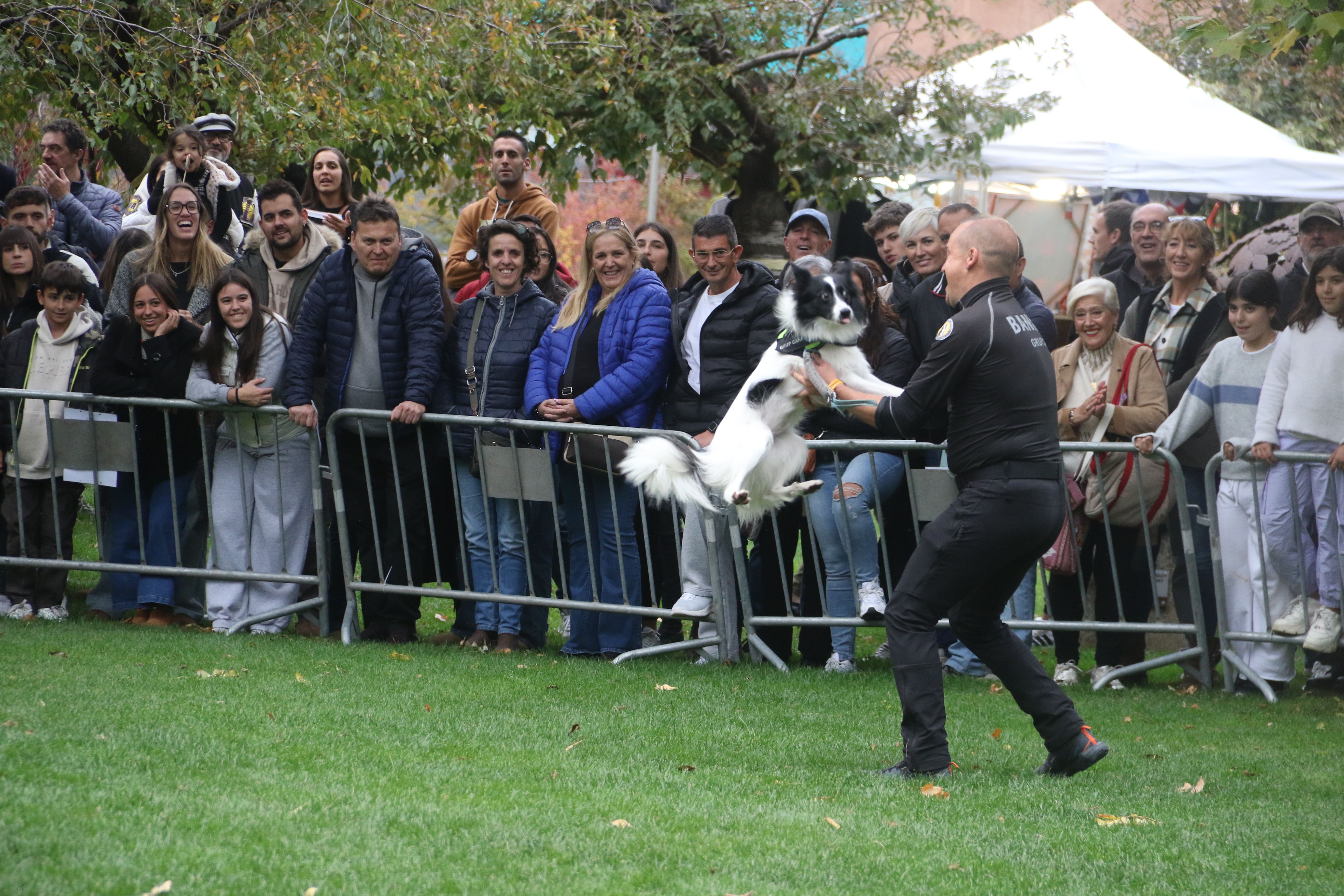 Un bander rebent el seu gos després de fer la feina. Un bander rebent el seu gos després de fer la feina.