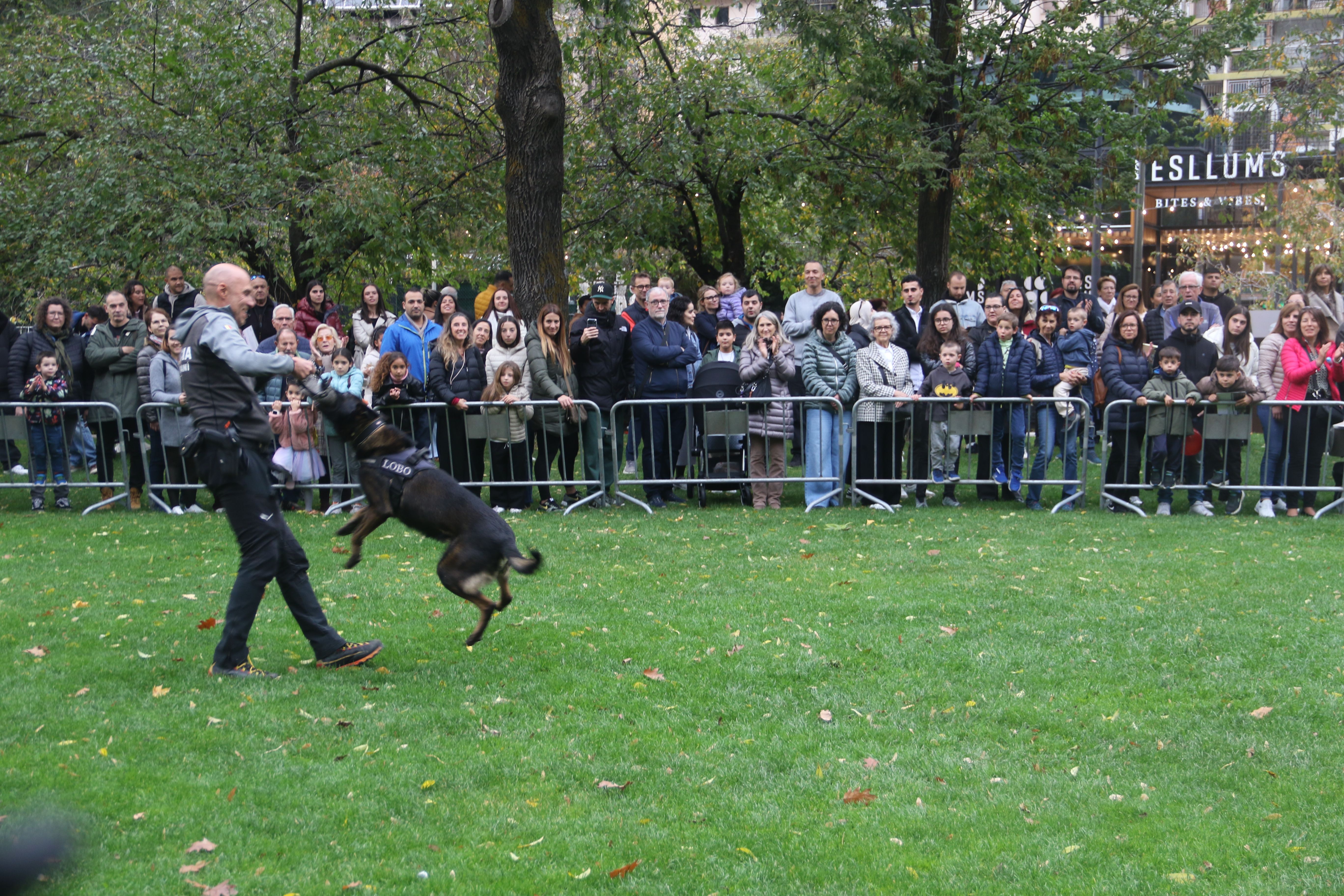 Un dels binomis policials després de fer una feina. Un dels binomis policials després de fer una feina.