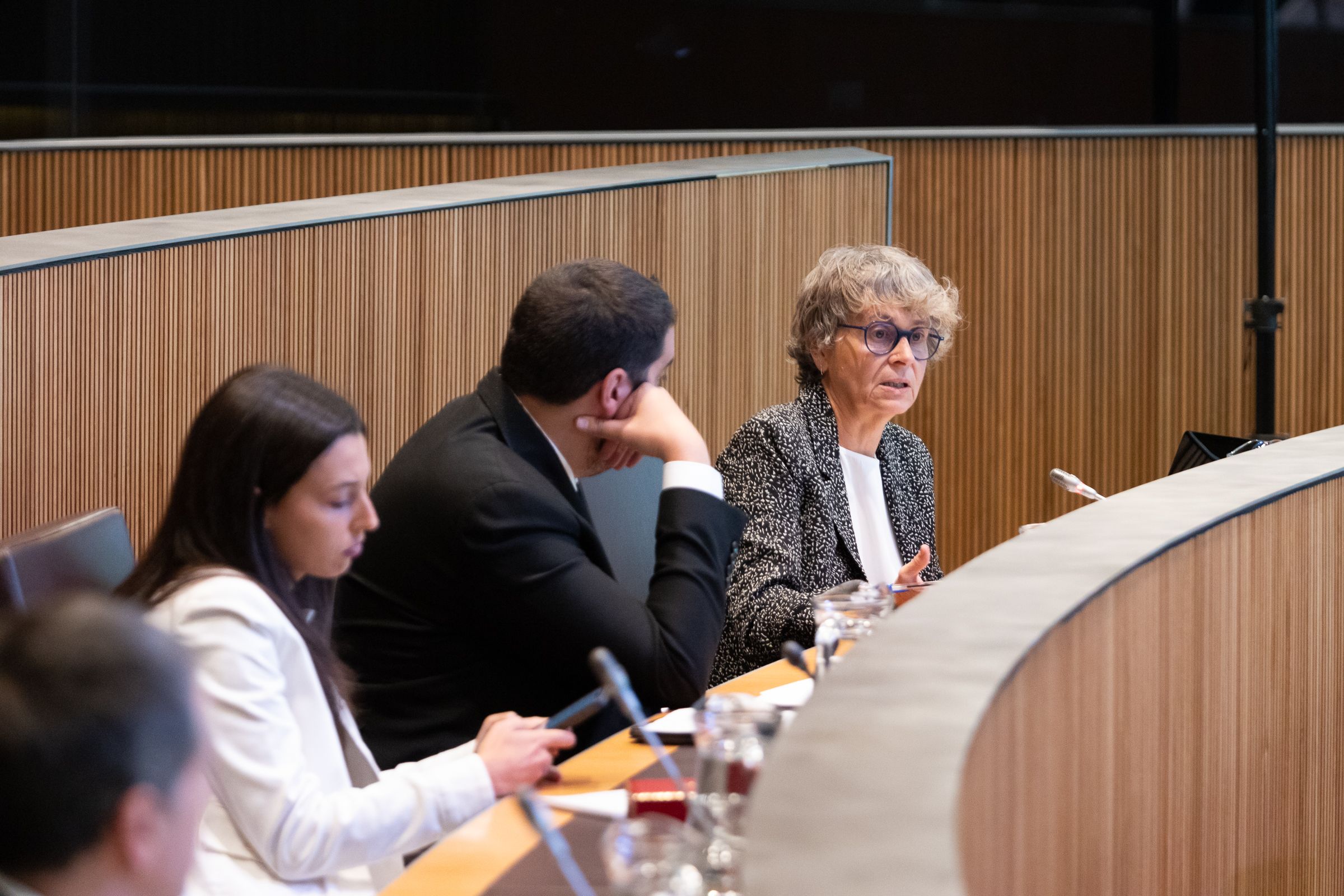 Laia Moliné, Pere Baró i Susanna Vela, els tres consellers del grup parlamentari socialdemòcrata.